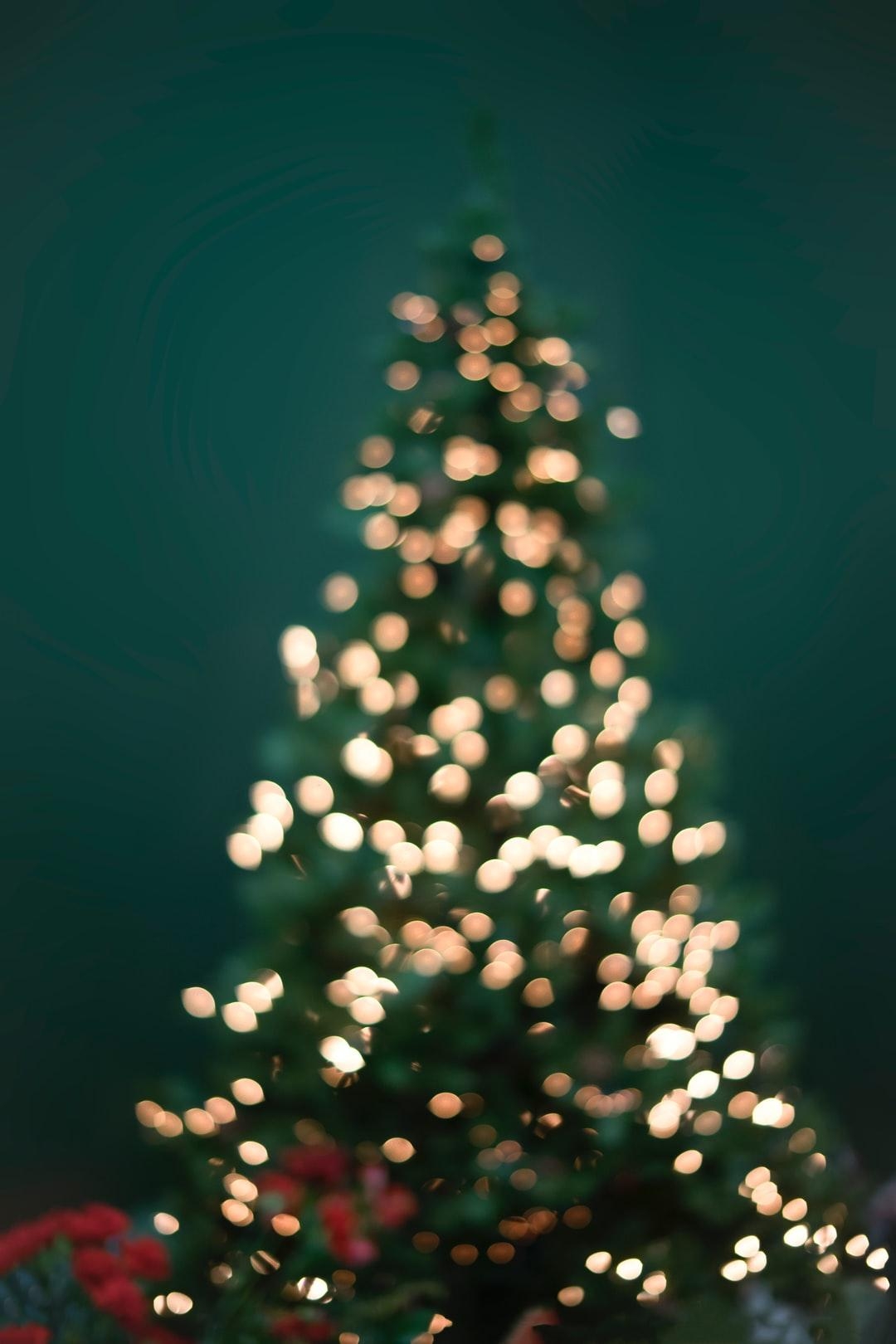 1080x1620 Christmas Tree Image: Download HD Picture & Photo, Phone