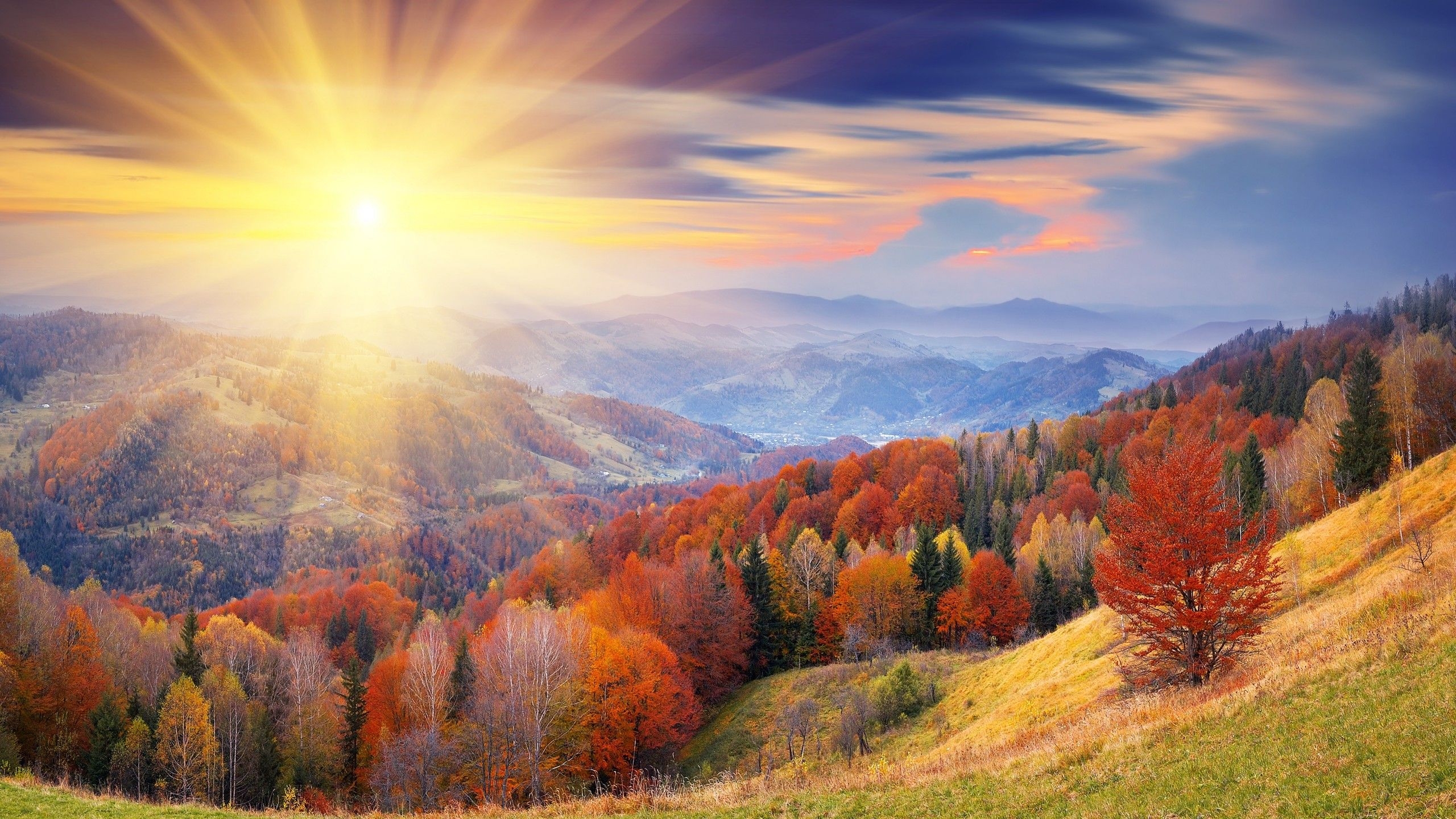 2560x1440 Wallpaper autumn, 4k, HD wallpaper, 8k, trees, dawn, mount, coloring, Nature, Desktop