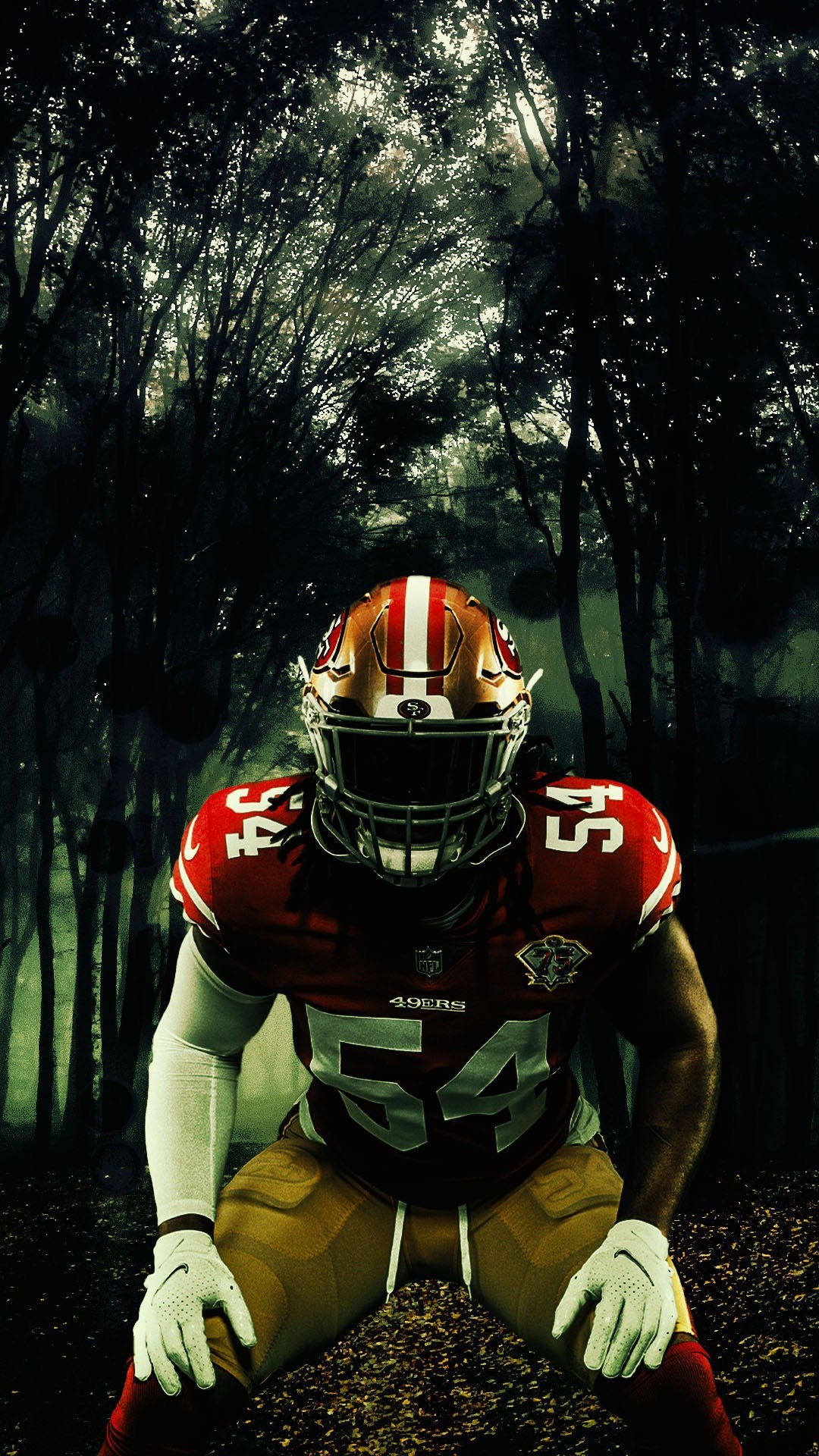 1080x1920 San Francisco 49ers, Phone