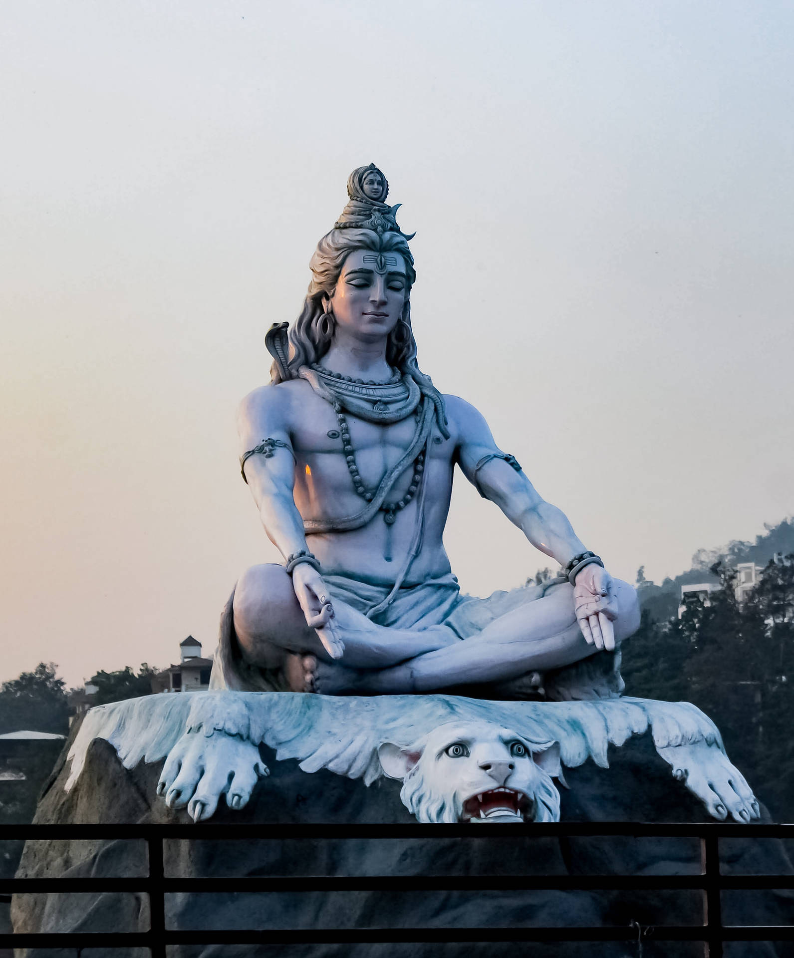 1600x1920 Download Bholenath HD Shiva Adiyogi, Phone