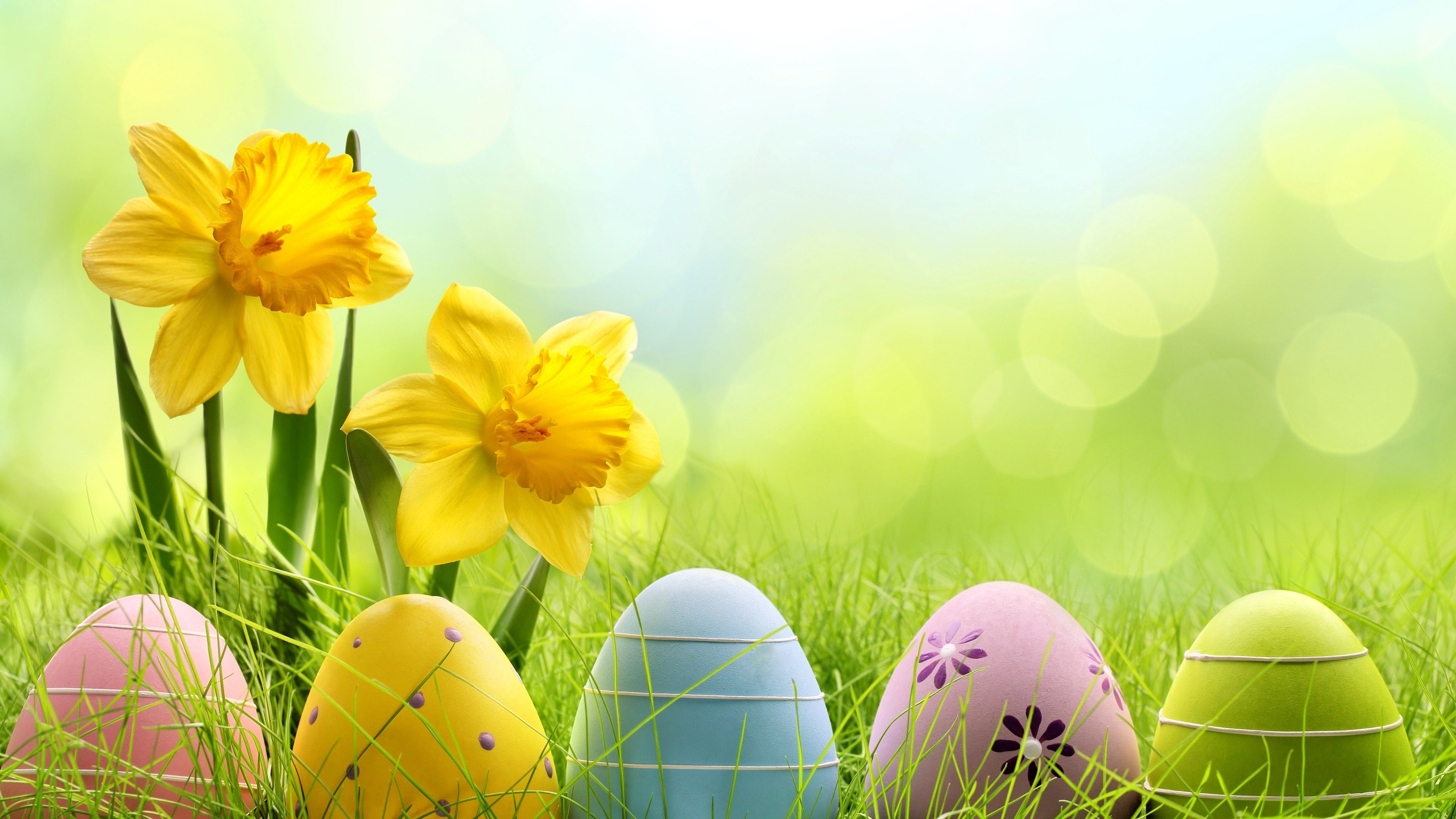 3840x2160 Wallpaper Easter, spring, flowers, eggs, basket, Holidays, Desktop