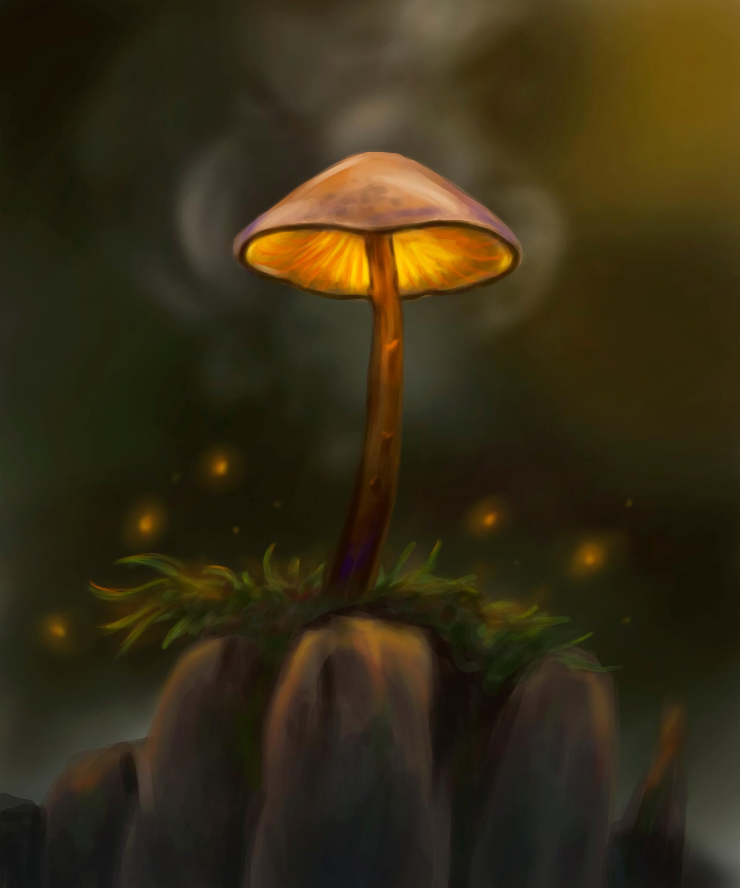 2560x3080 Download Mushroom wallpaper for mobile phone, free Mushroom HD picture, Phone