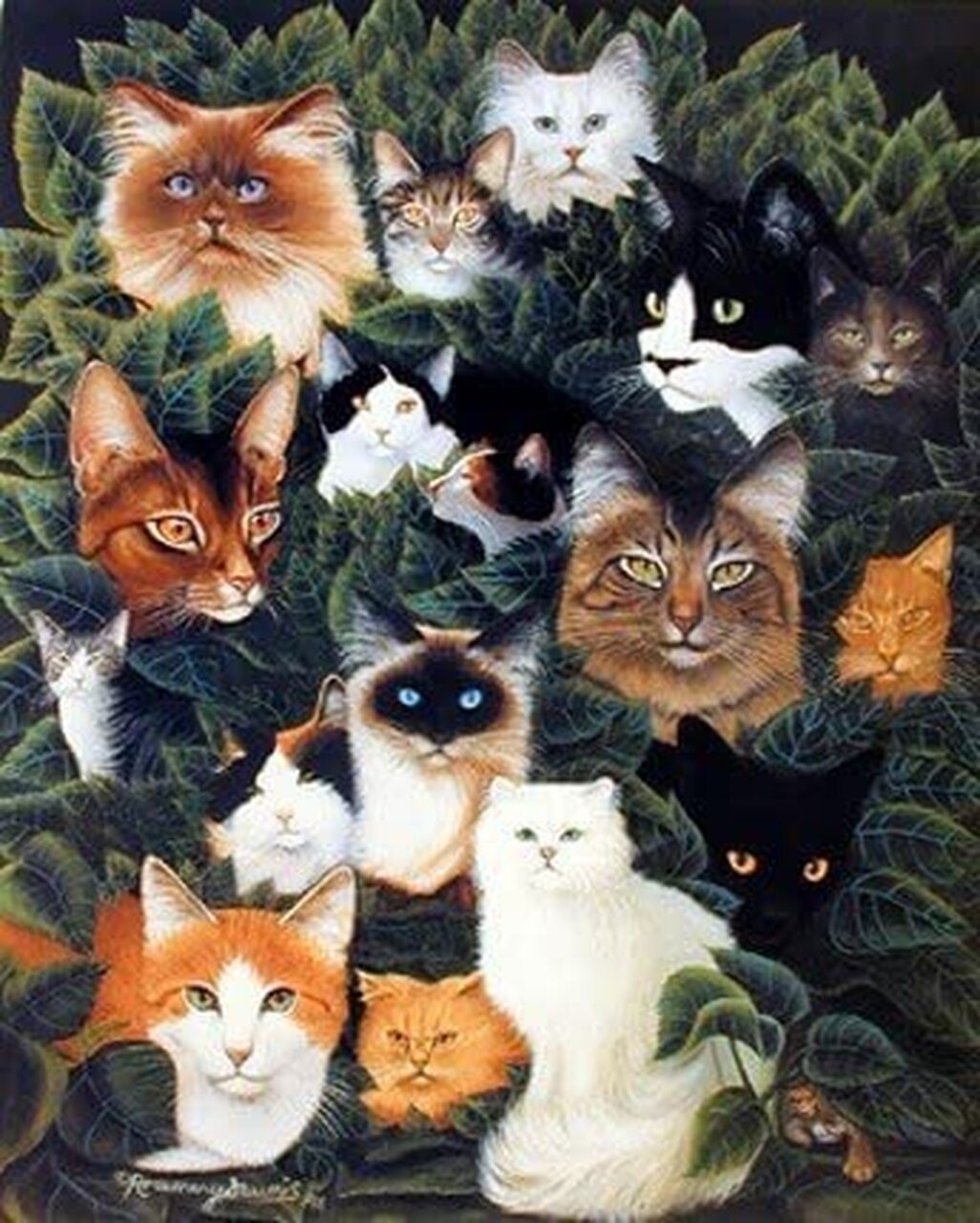 1030x1280 Cat Collage Picture, Phone