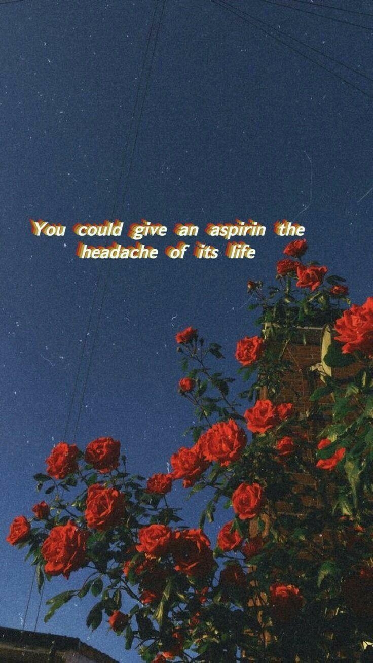 740x1310 iPhone Wallpaper, Android wallpaper, song lyrics, Aesthetic, Phone