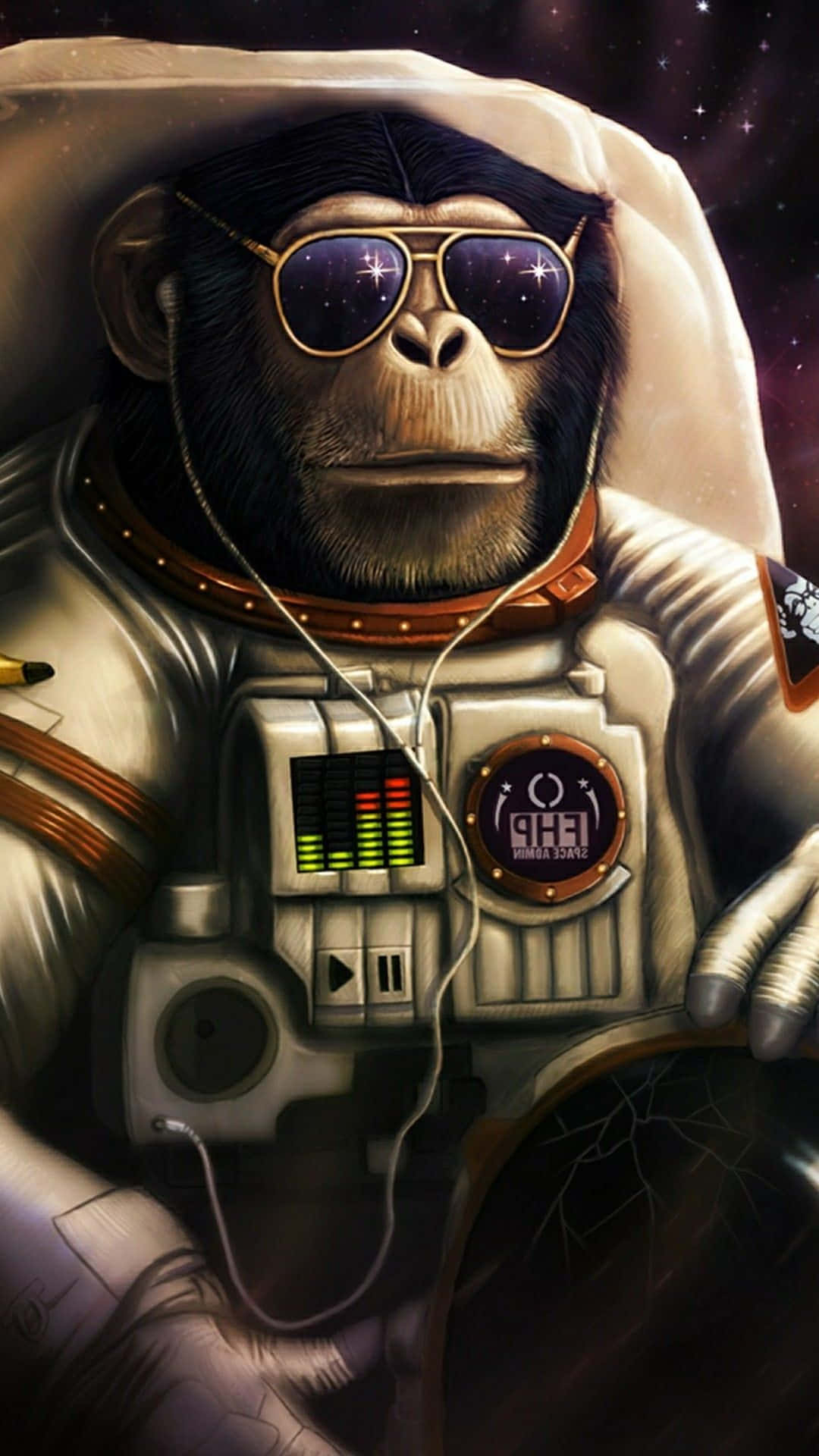 1080x1920 Download A Monkey In Space With Sunglasses And A Microphone Wallpaper, Phone