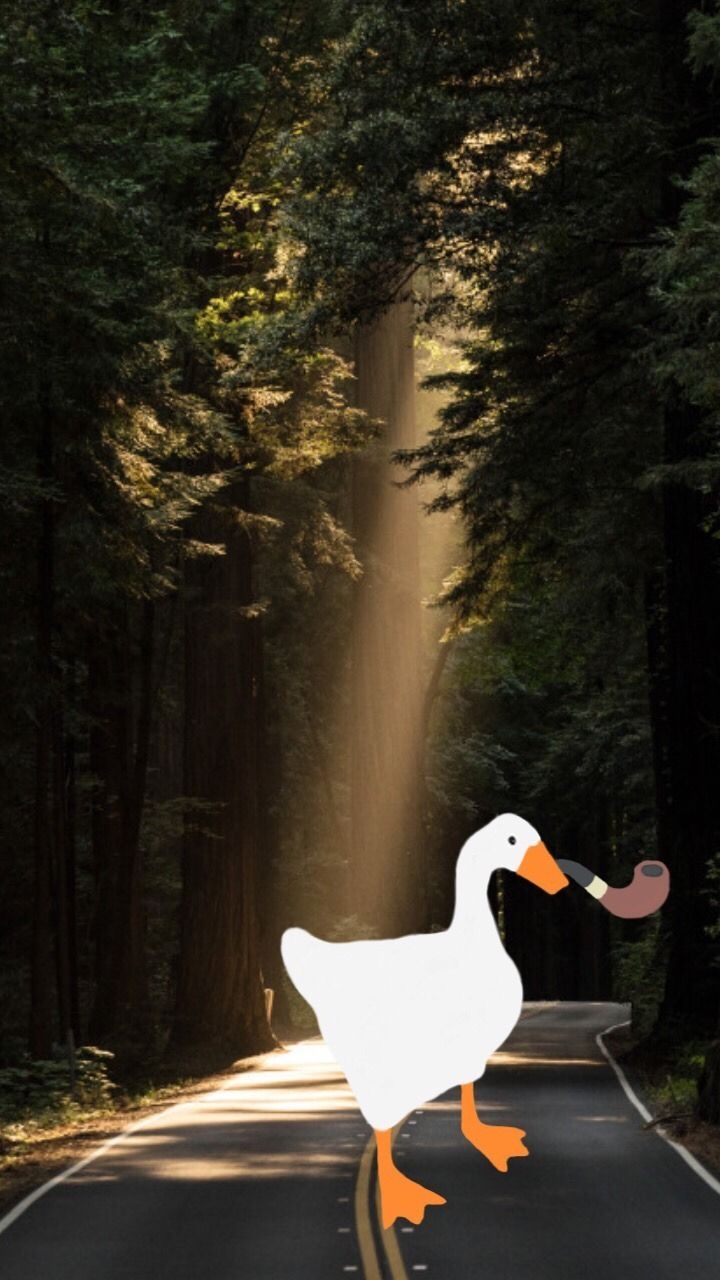 720x1280 goose game wallpaper, Phone