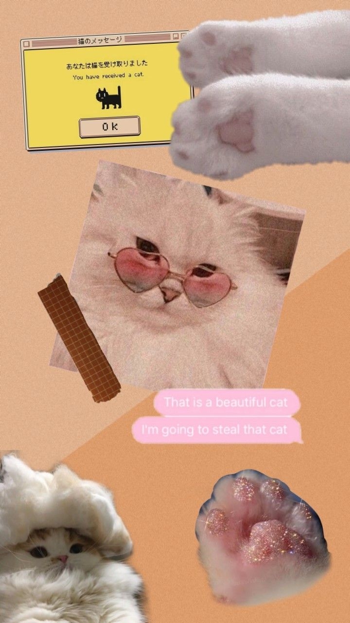 720x1280 aesthetic cat collage. Cat collage, Cute profile picture, Cats, Phone