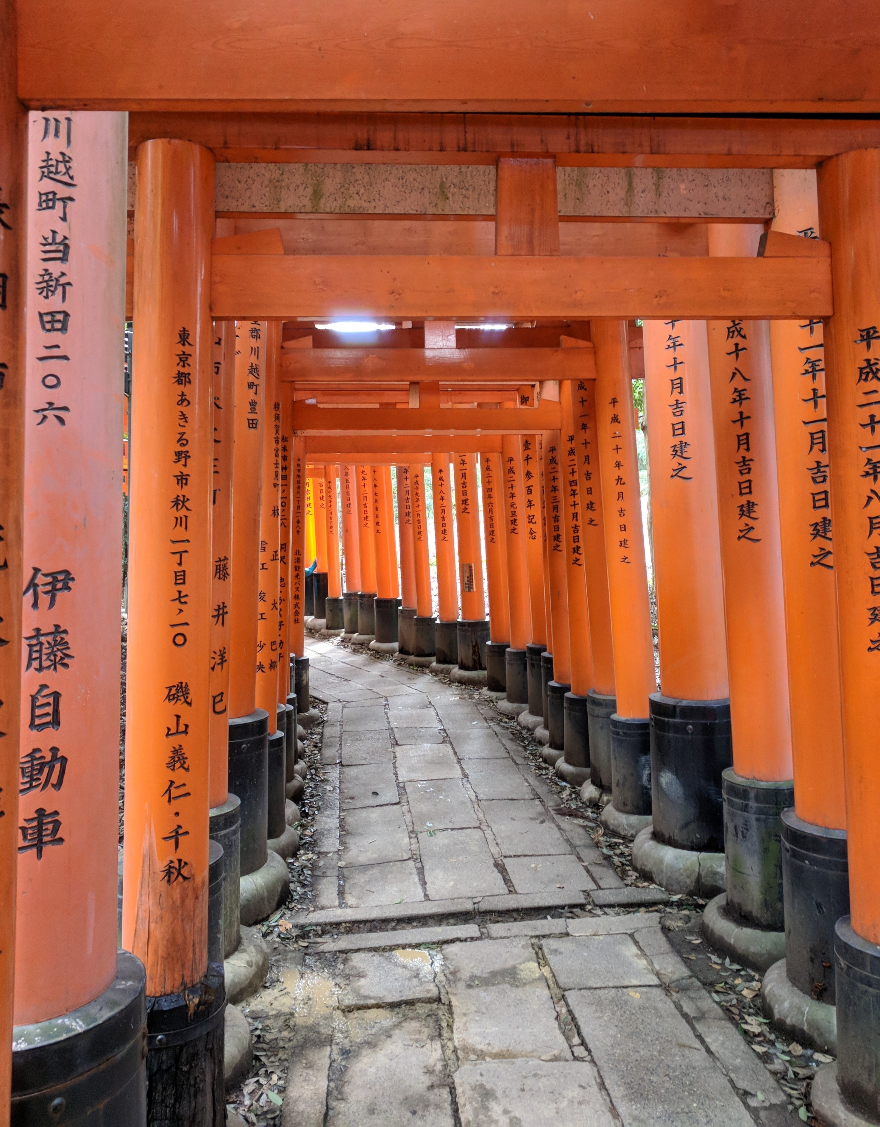 2960x3790 Free Of Fushimi Inari Taisha, Japanese Temple Gates, Torri, Phone