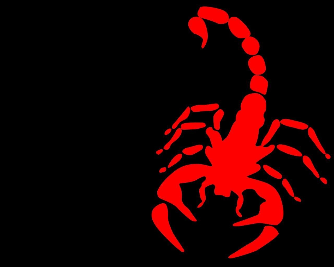 1280x1030 scorpions  wallpaper High Quality Wallpaper, High, Desktop