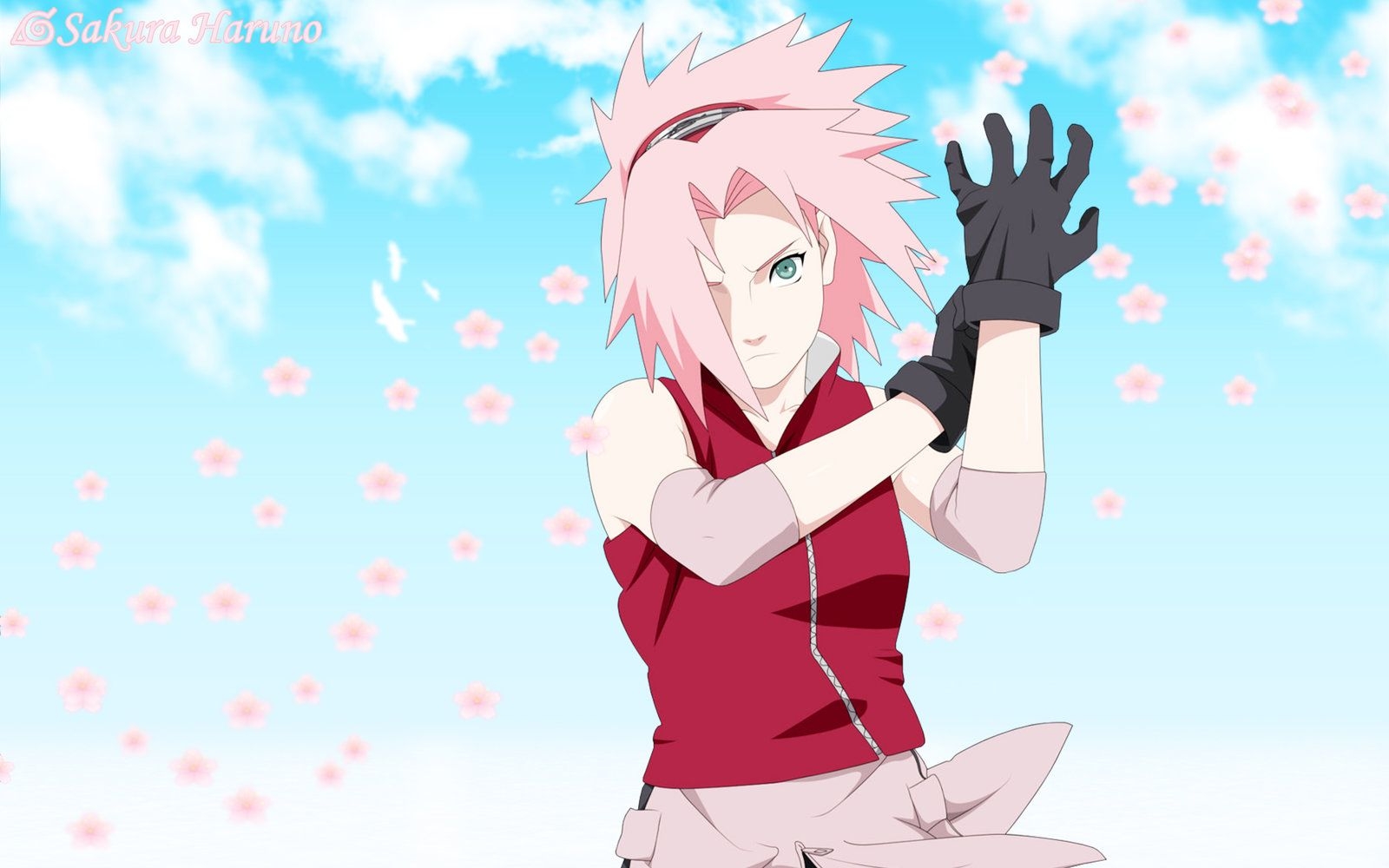 1600x1000 Sakura Haruno Wallpaper, Desktop