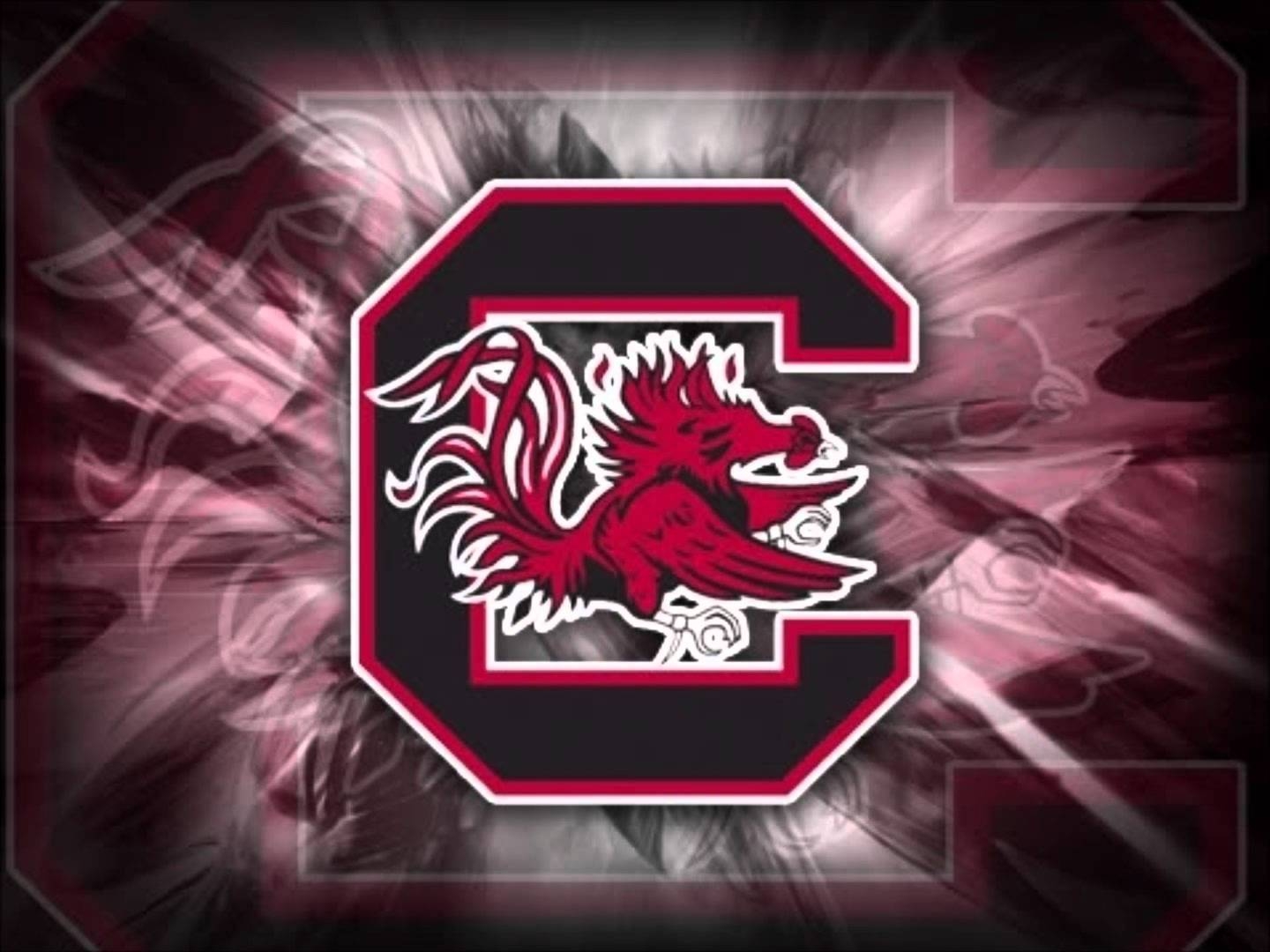 1440x1080 South Carolina Gamecocks Football Screensaver, Desktop