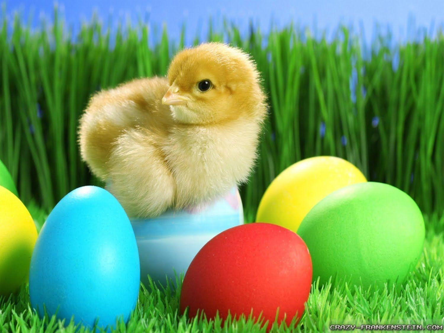 1500x1130 gLaMoRoUs bLoG: Easter Wallpaper, Desktop