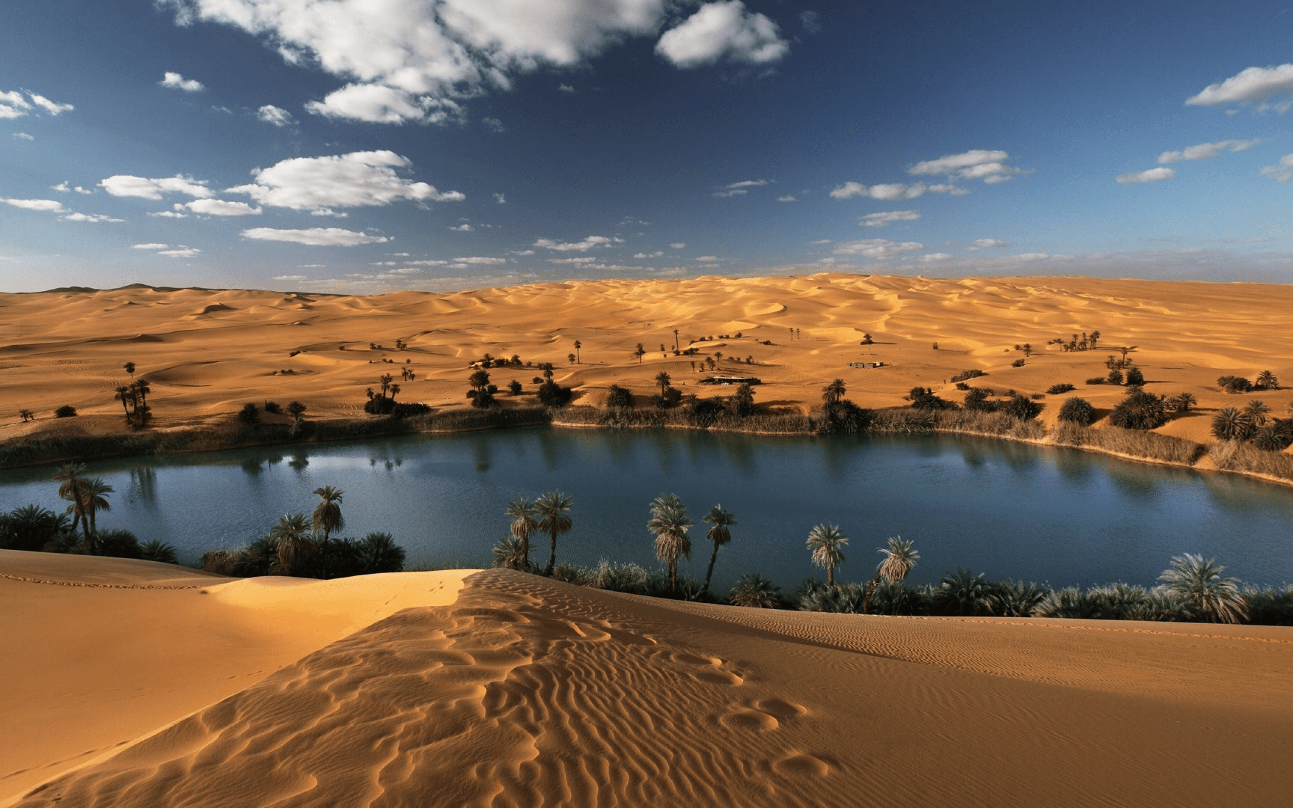 2560x1600 Sahara HD Wallpaper, Desktop