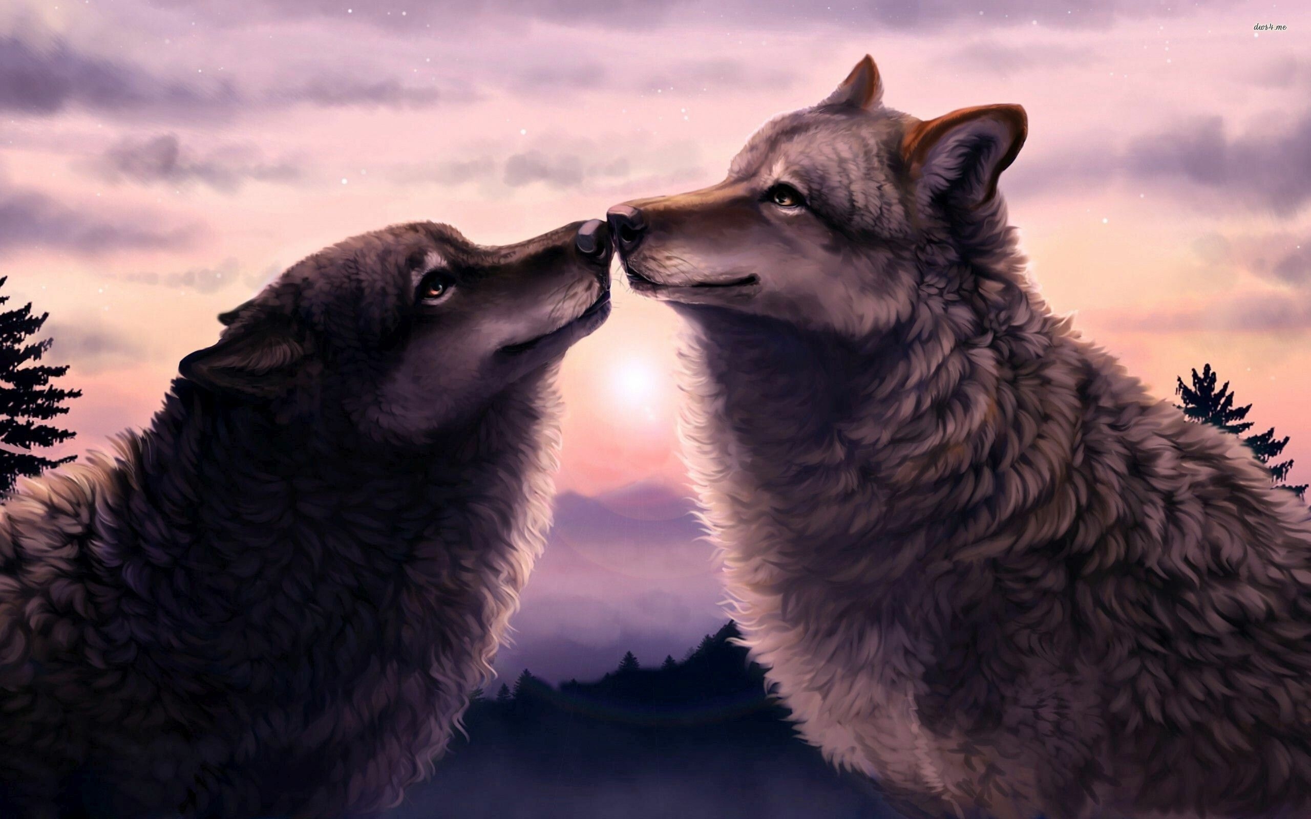 2560x1600 Love Wolf Wallpaper: HD, 4K, 5K for PC and Mobile. Download free image for iPhone, Android, Desktop