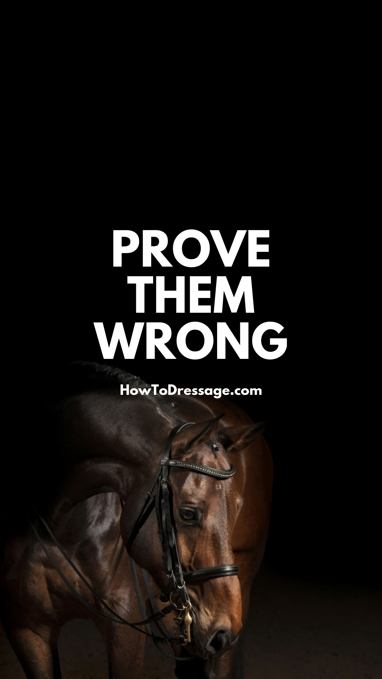 1250x2210 PROVE THEM WRONG WALLPAPER. Inspirational horse quotes, Equestrian quotes, Horse quotes, Phone