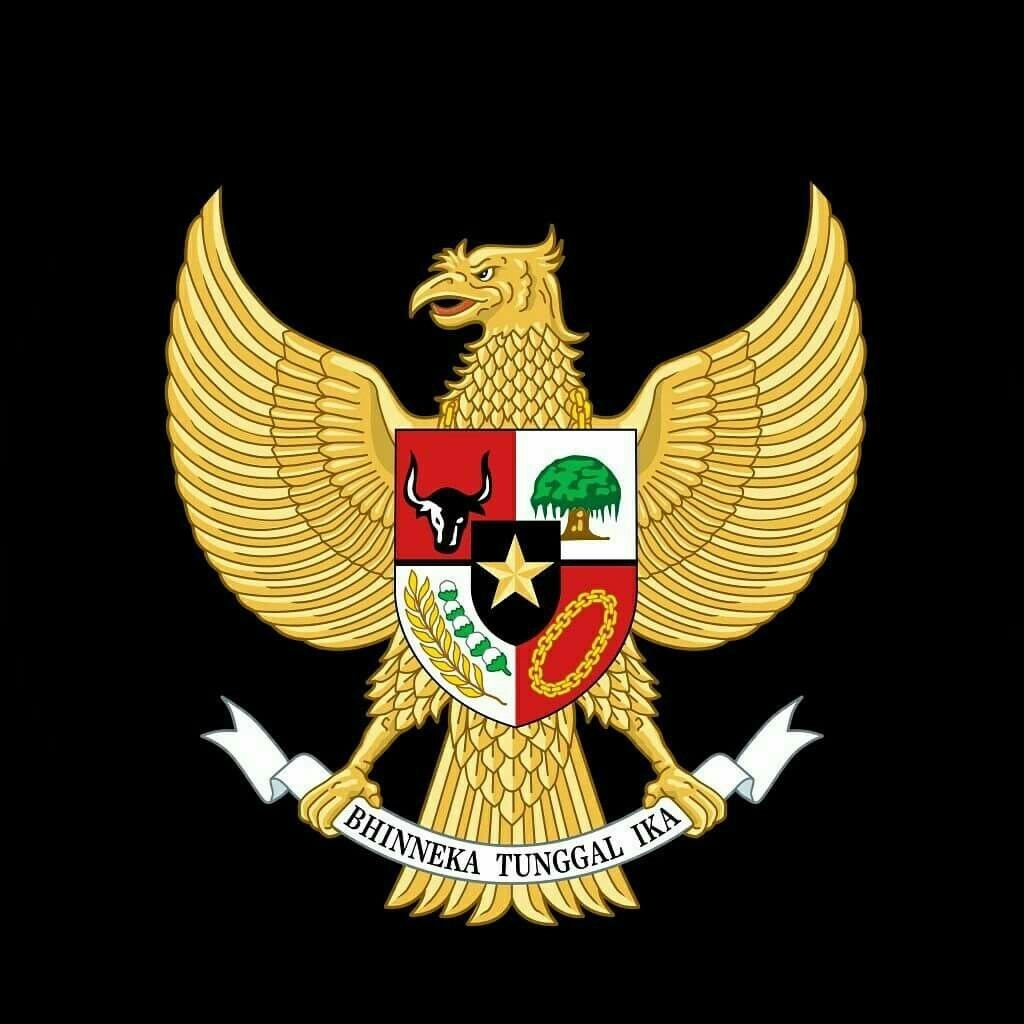 1030x1030 Burung Garuda Lambang NKRI. Seni, Lambang Negara, Burung, Phone