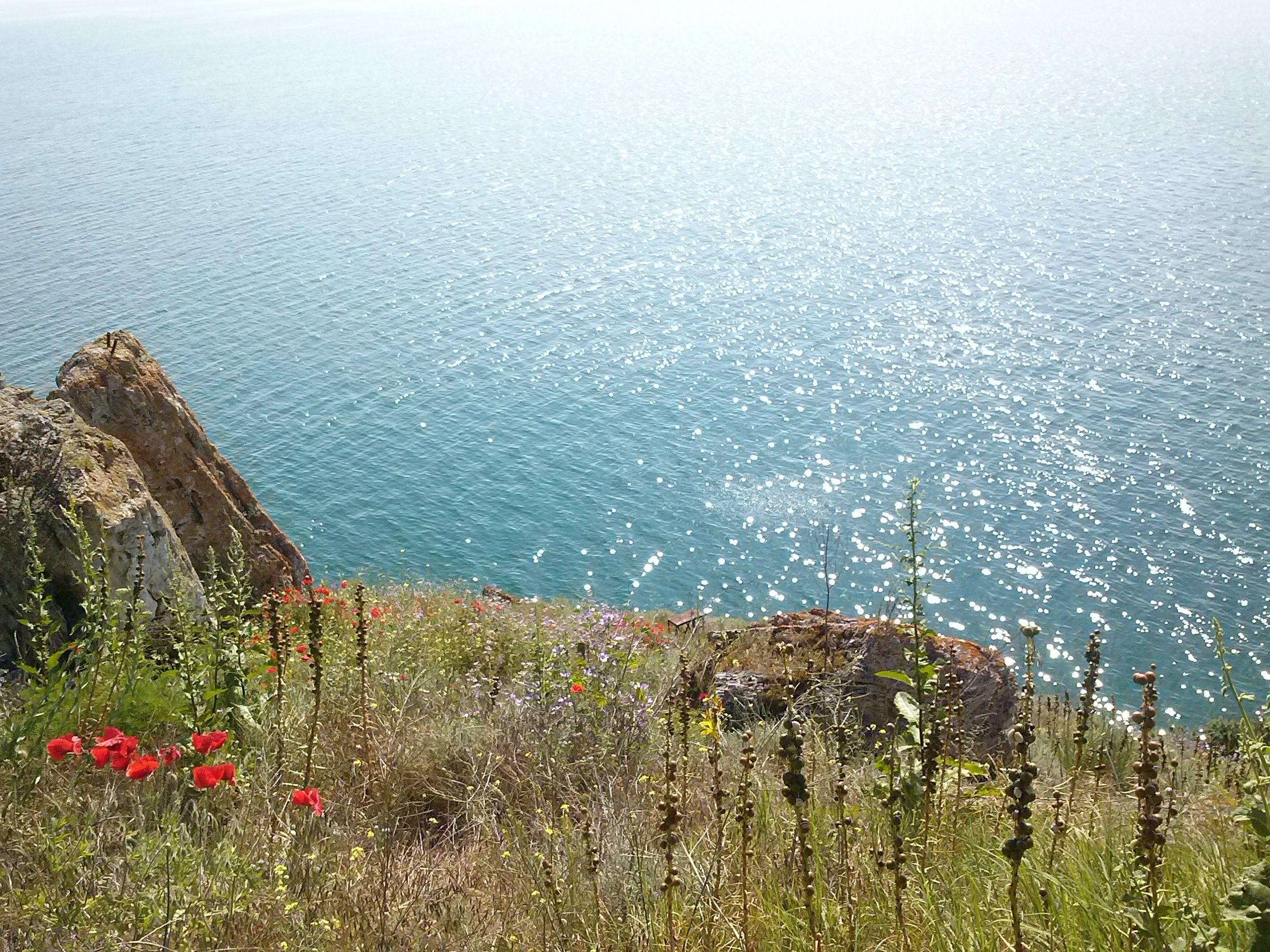 2560x1920 nature, Landscape, Bulgaria, Flowers, Sea Wallpaper HD / Desktop, Desktop