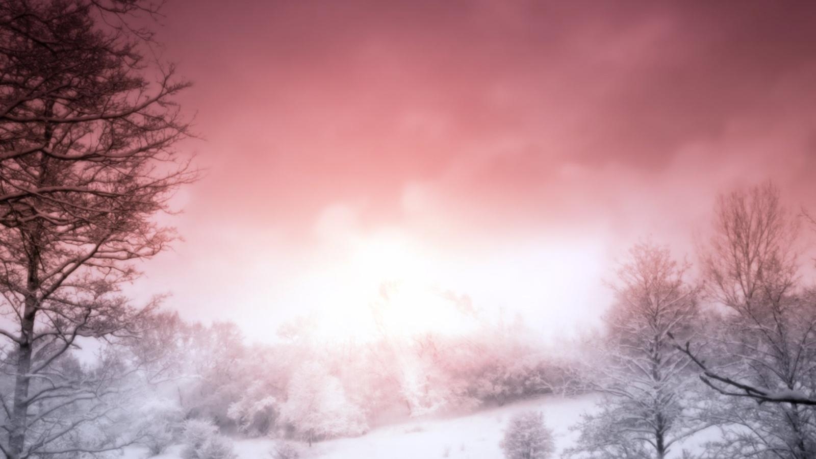 1600x900 Free download Pink Winter Wallpaper Metal Nature Heavy Metal, Desktop