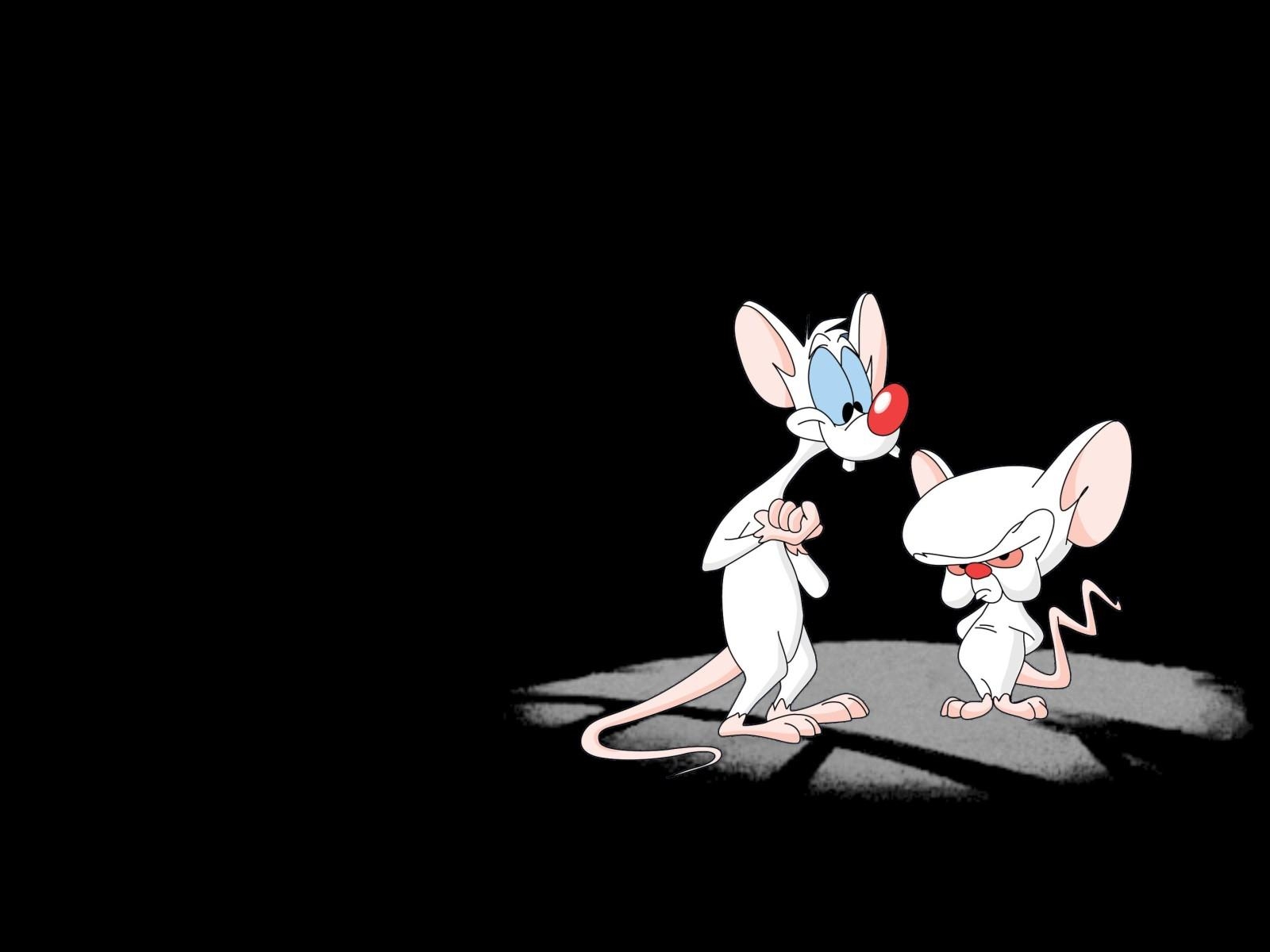 1600x1200 Pinky And The Brain Wallpaper 2 X 1200, Desktop