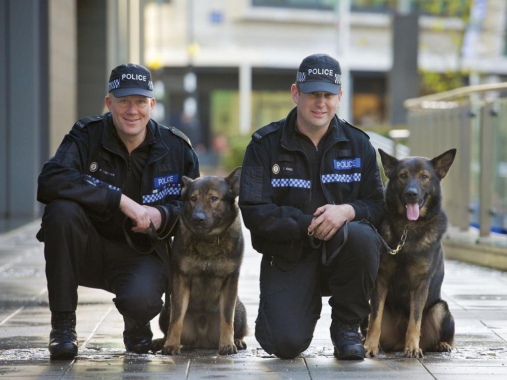 1030x770 Police Dogs Wallpaper in HD for Android, Desktop