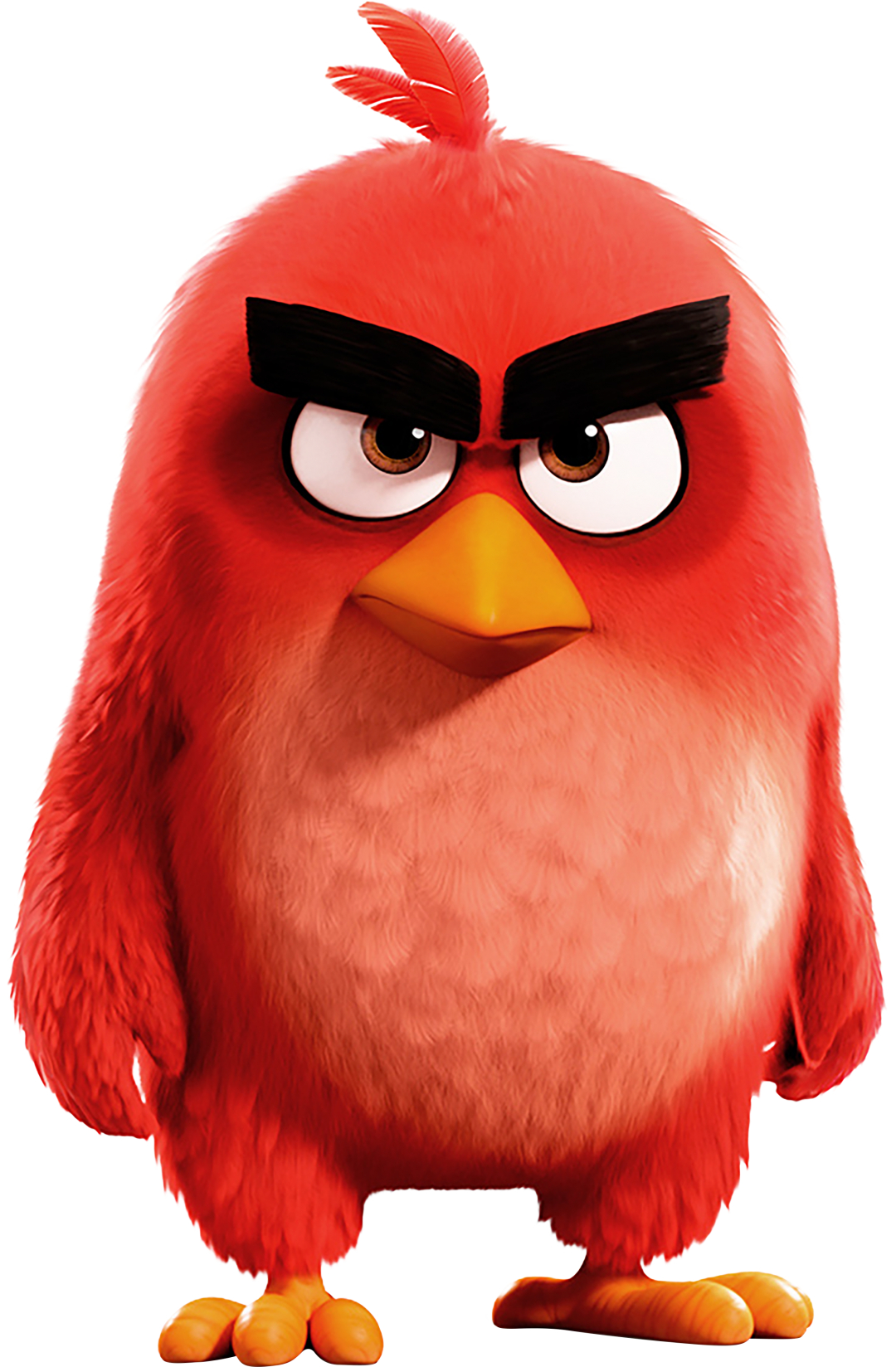 1080x1650 The Angry Birds Movie Angry Birds Pelicula, Phone