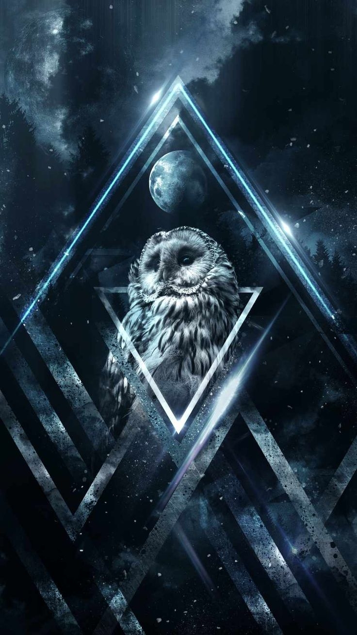 740x1310 Night Owl Wallpaper, iPhone Wallpaper. Owl wallpaper, Owl artwork, Owl wallpaper iphone, Phone