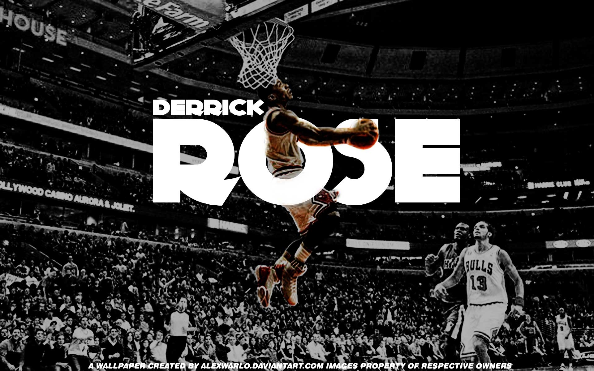 1920x1200 Derrick Rose Wallpaper HD wallpaper search, Desktop