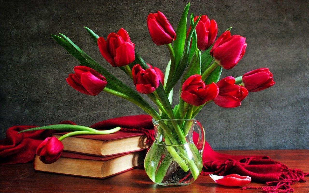 1280x800 Flowers For > Red Tulips Wallpaper, Desktop