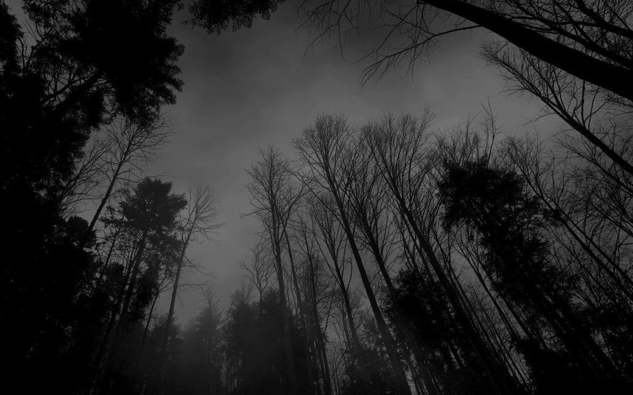 1280x800 Wallpaper For > Dark Forest Background Image, Desktop