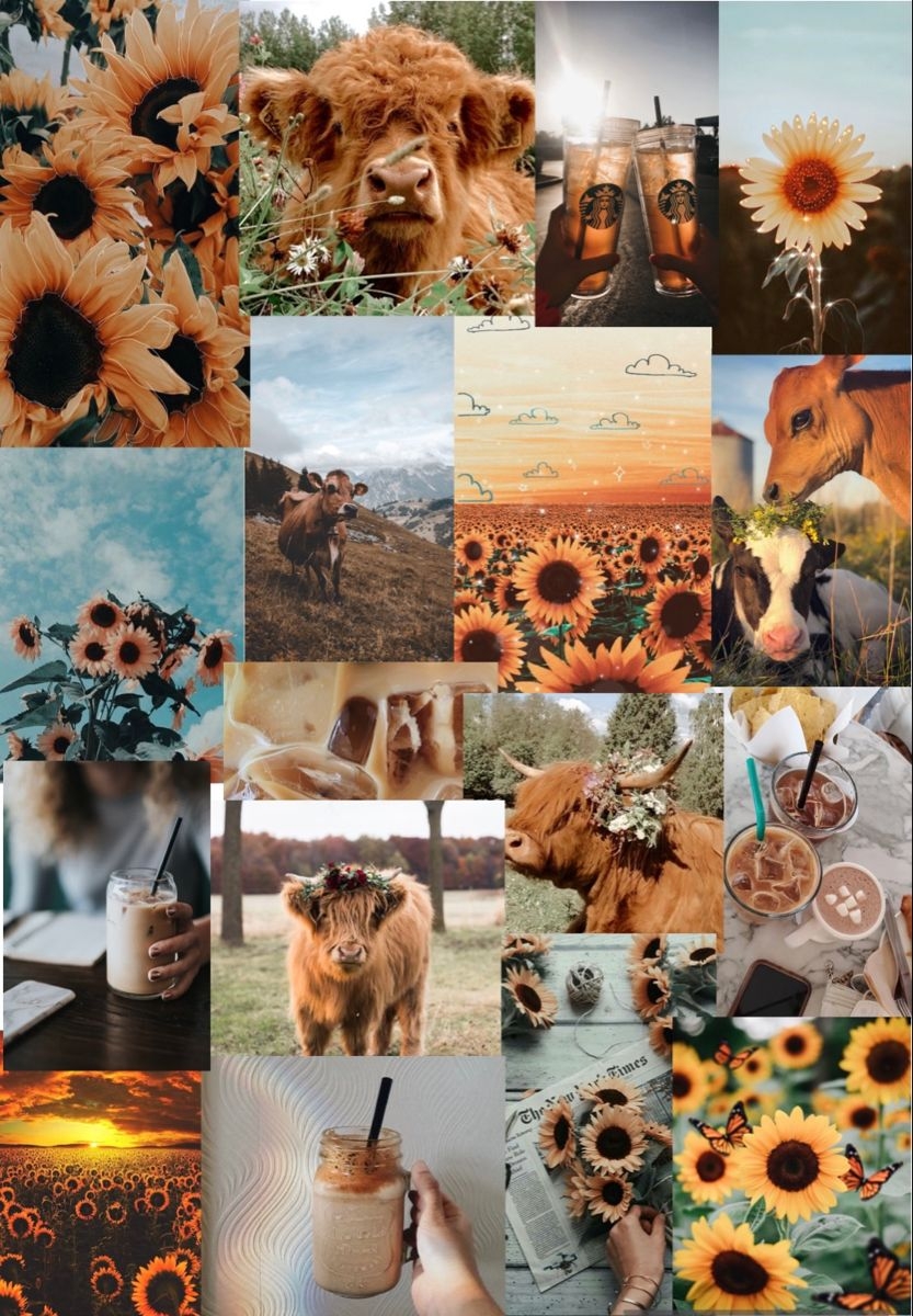 840x1200 Custom wallpaper for. Cow wallpaper, Cute fall wallpaper, Cute iphone wallpaper tumblr, Phone