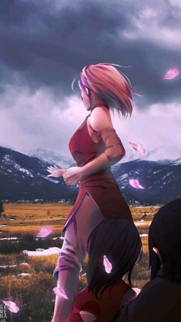 720x1280 Sakura haruno wallpaper, Phone