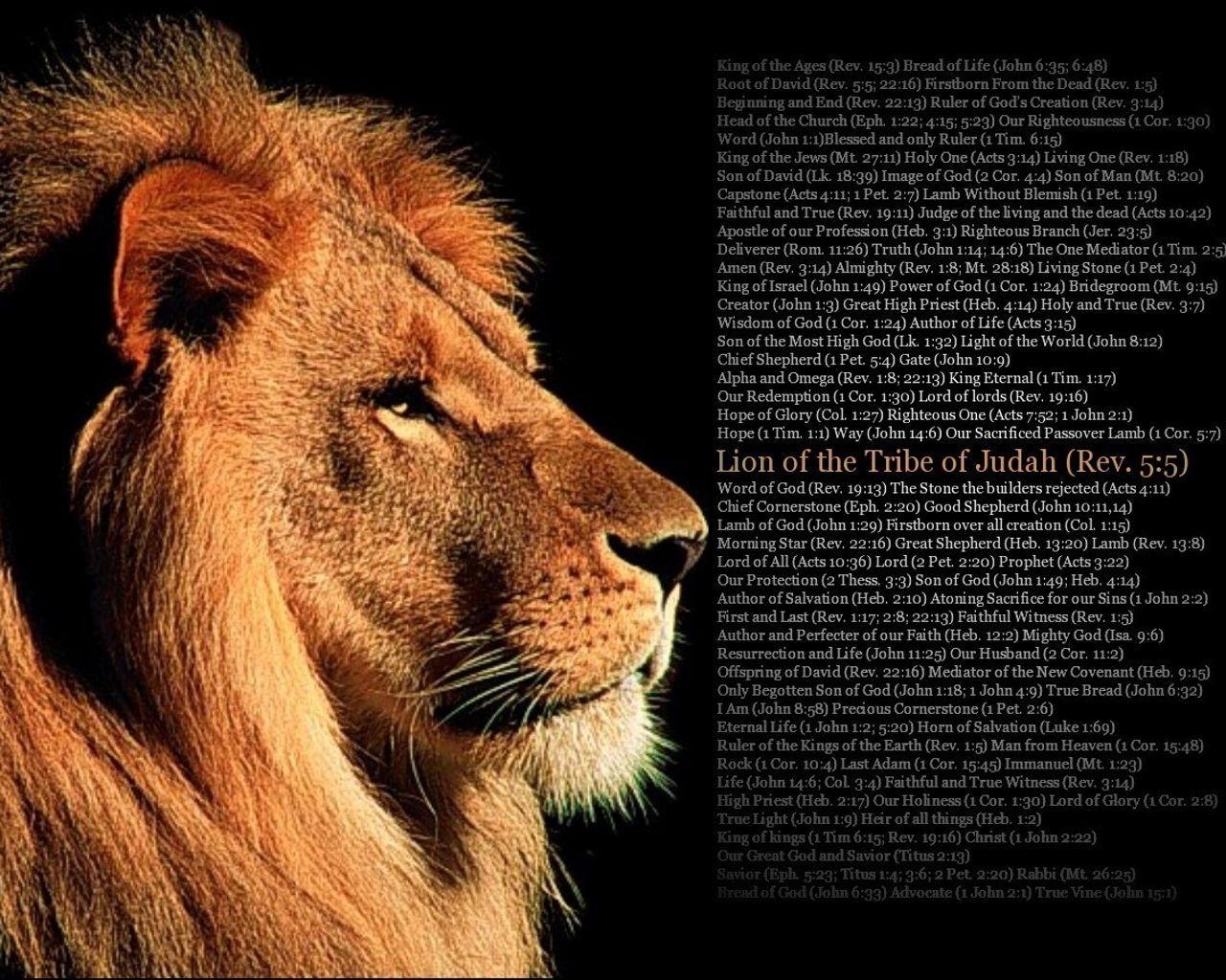 1280x1030 The Lion Of Judah With Scripture HD Wallpaper. Lion of judah, Desktop