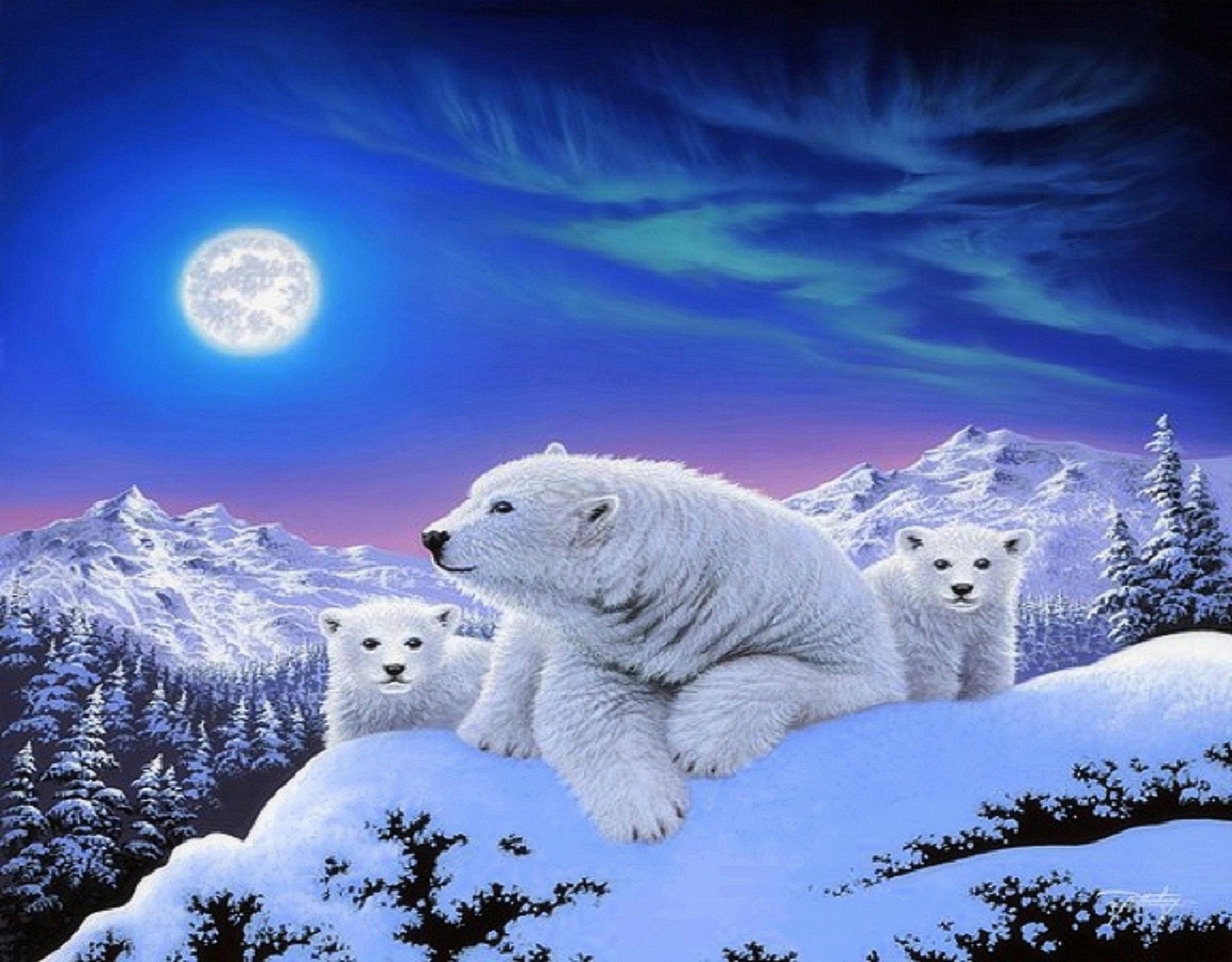 1920x1500 Polar Bear Background for Computer. Christmas Background Polar Express, Polar Bear Wallpaper and Polar Crash Bandicoot Wallpaper, Desktop