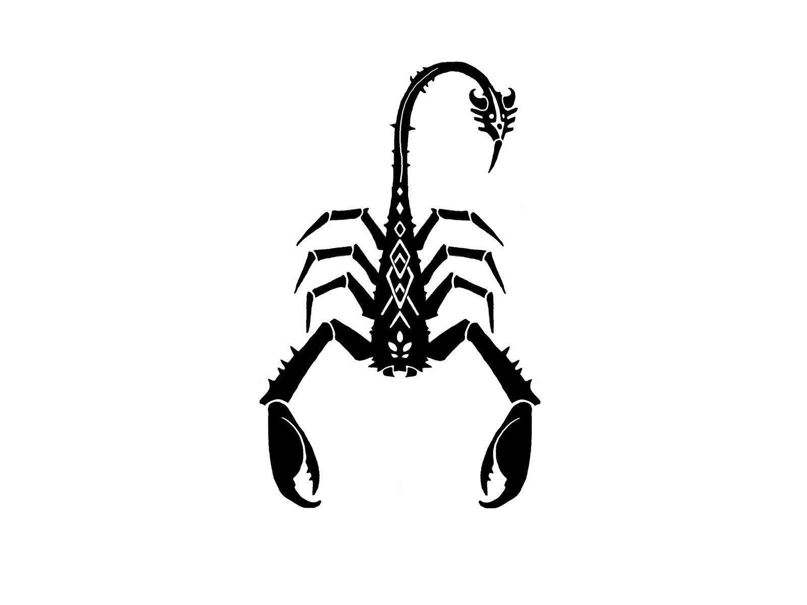 1600x1200 Scorpion Wallpaper & Background, Desktop