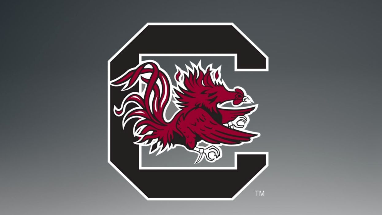 1250x700 SOUTH CAROLINA GAMECOCKS college football wallpaperx1800, Desktop