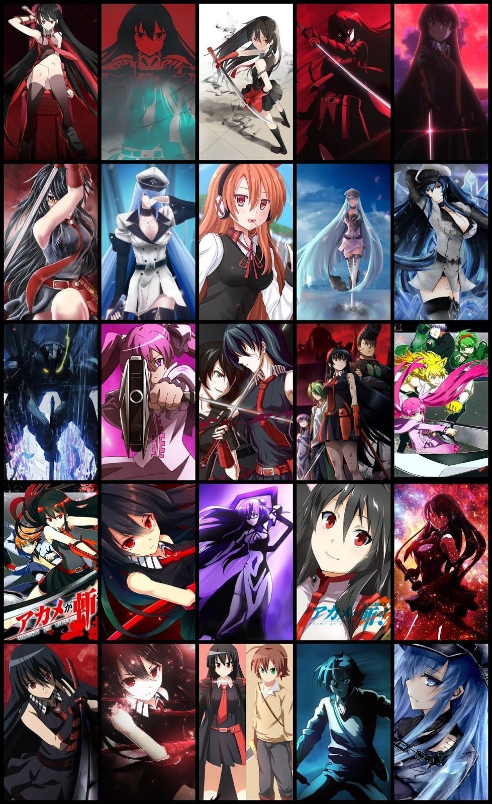 980x1600 Wallpaper Pack Akame Ga Kill.com, Phone