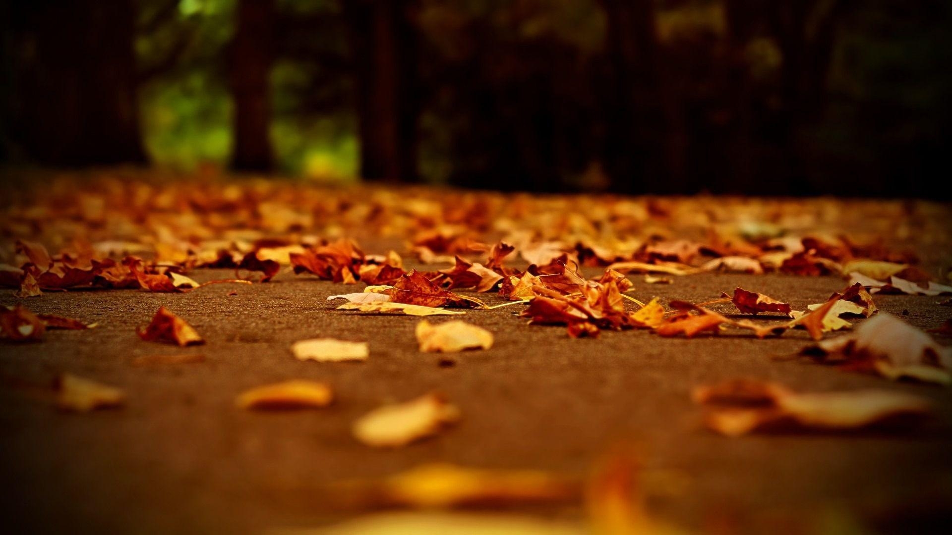 1920x1080 Dark Vintage Autumn Wallpaper, Desktop