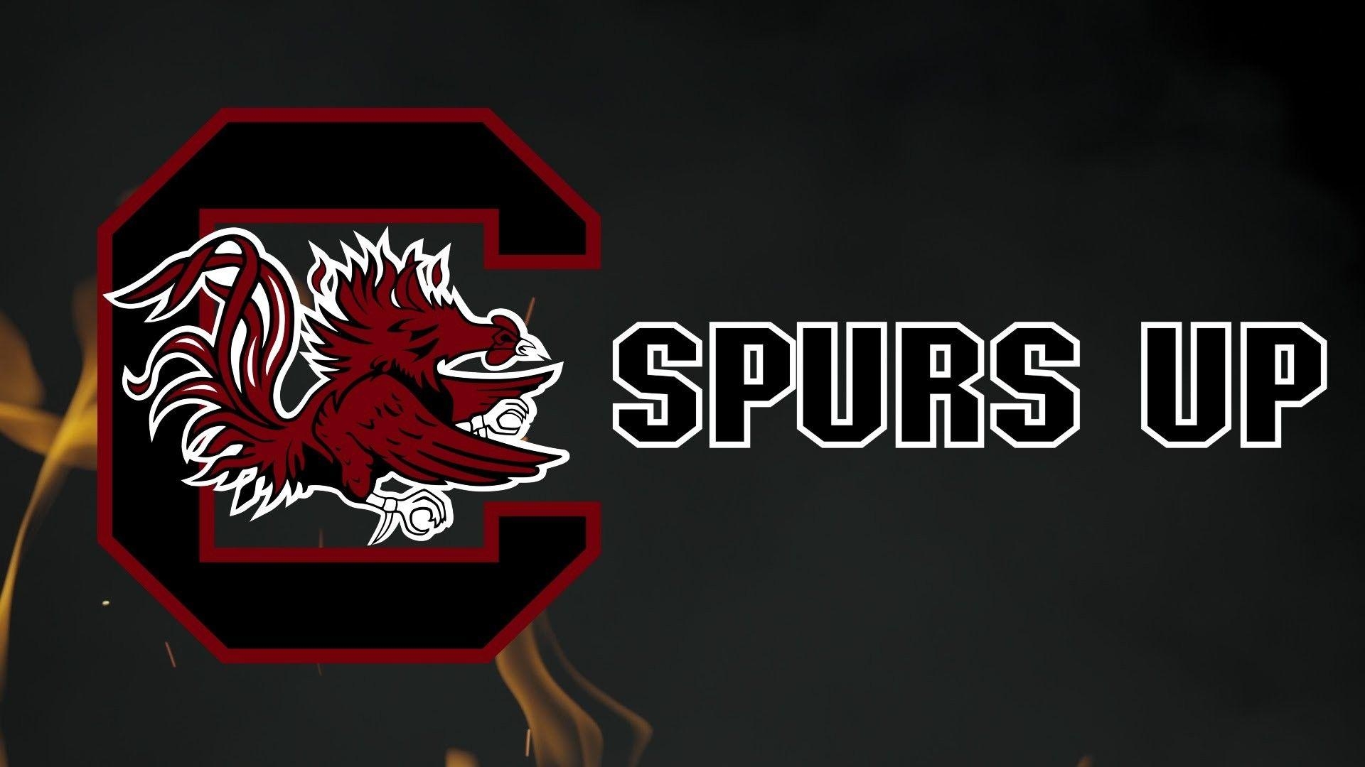 1920x1080 South Carolina Phone Wallpaper Labzada Wallpaper, Desktop