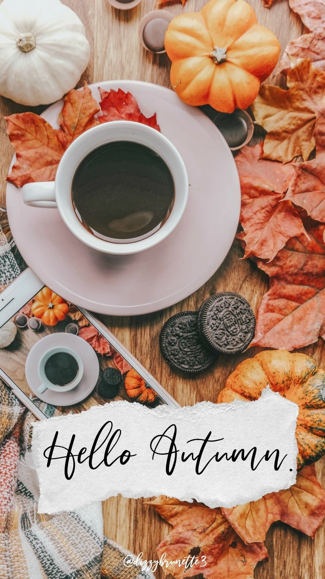 1080x1920 Aesthetic Fall Wallpaper iPhone, Phone