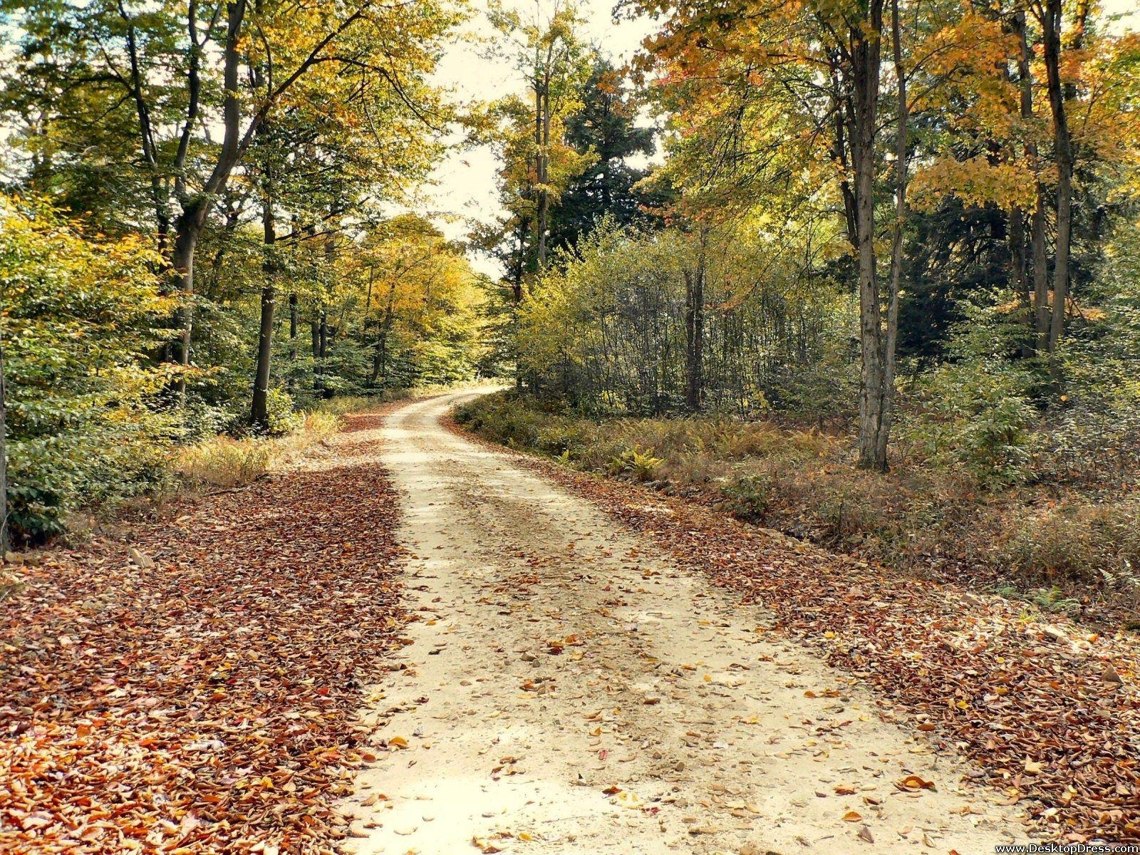 1600x1200 Desktop Wallpaper Natural Background Allegheny National, Desktop