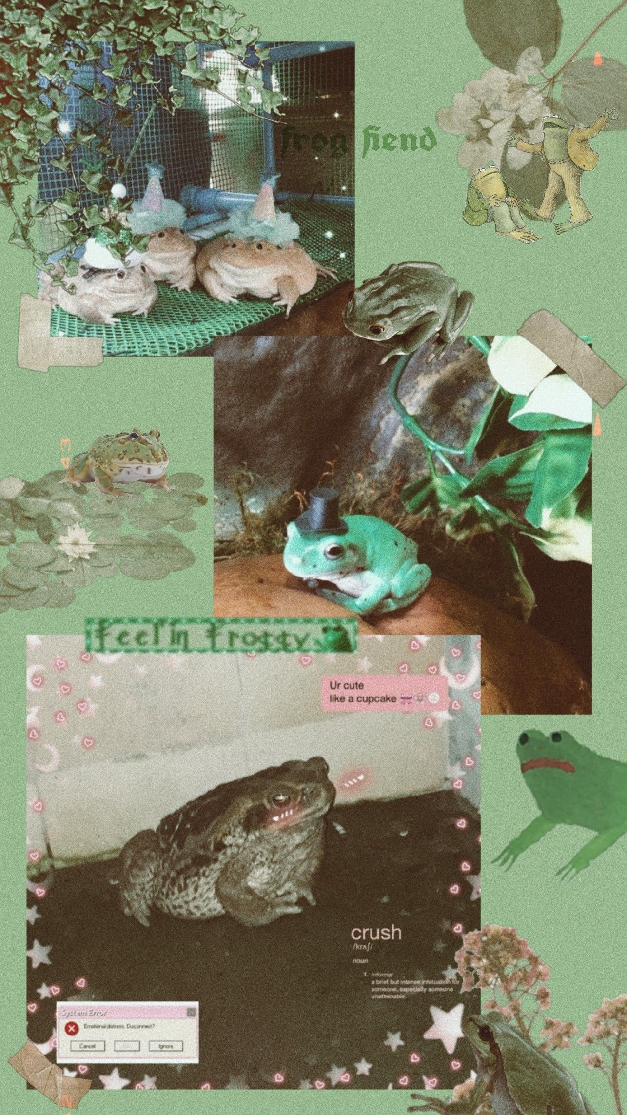 1290x2290 Frog wallpaper. Frog wallpaper, Cute frogs, Frog art, Phone