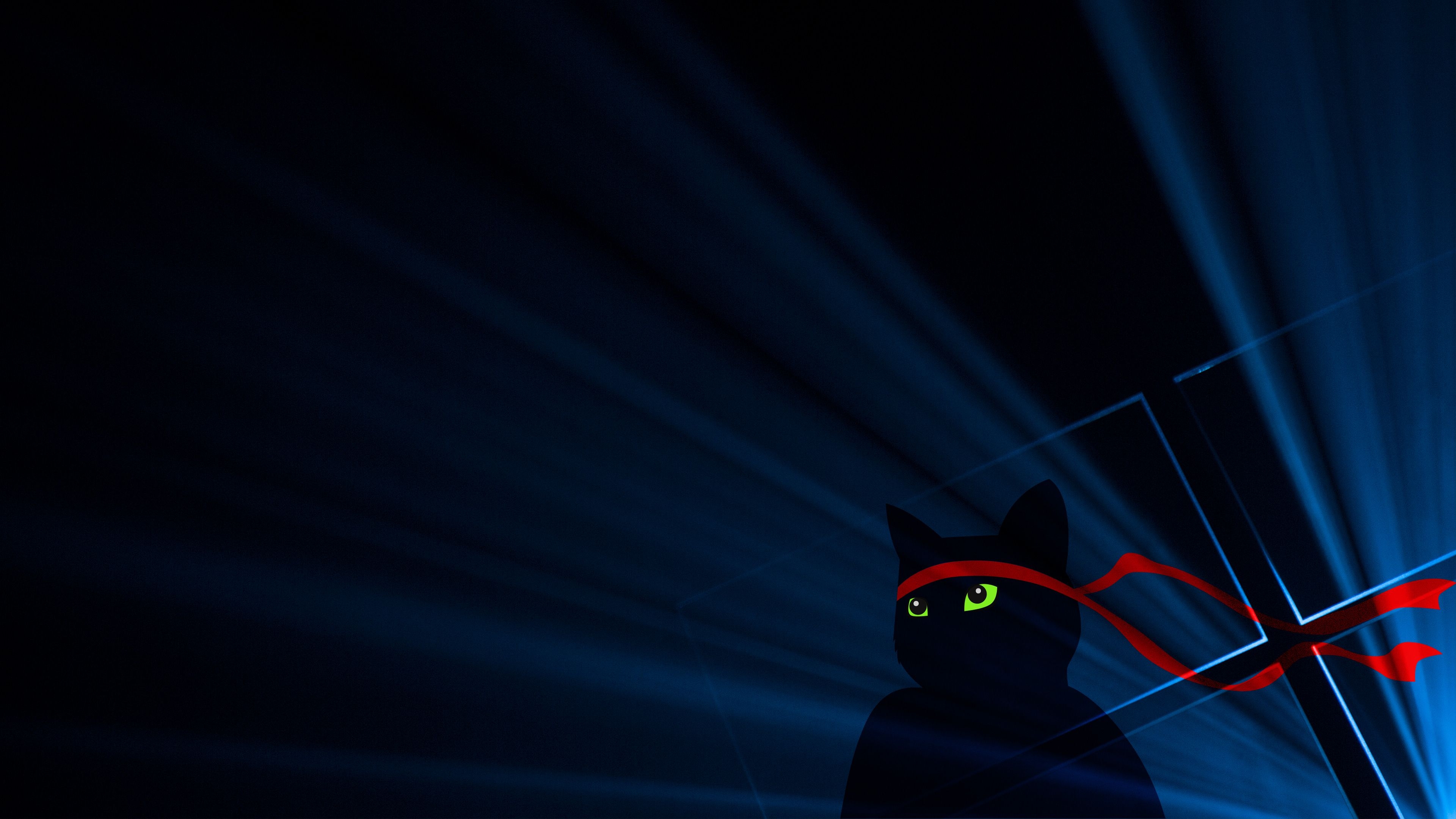 3840x2160 K, #Anniversary update, #Dark, #Ninja Cat, #Windows 10. Mocah.org HD Desktop Wallpaper, Desktop