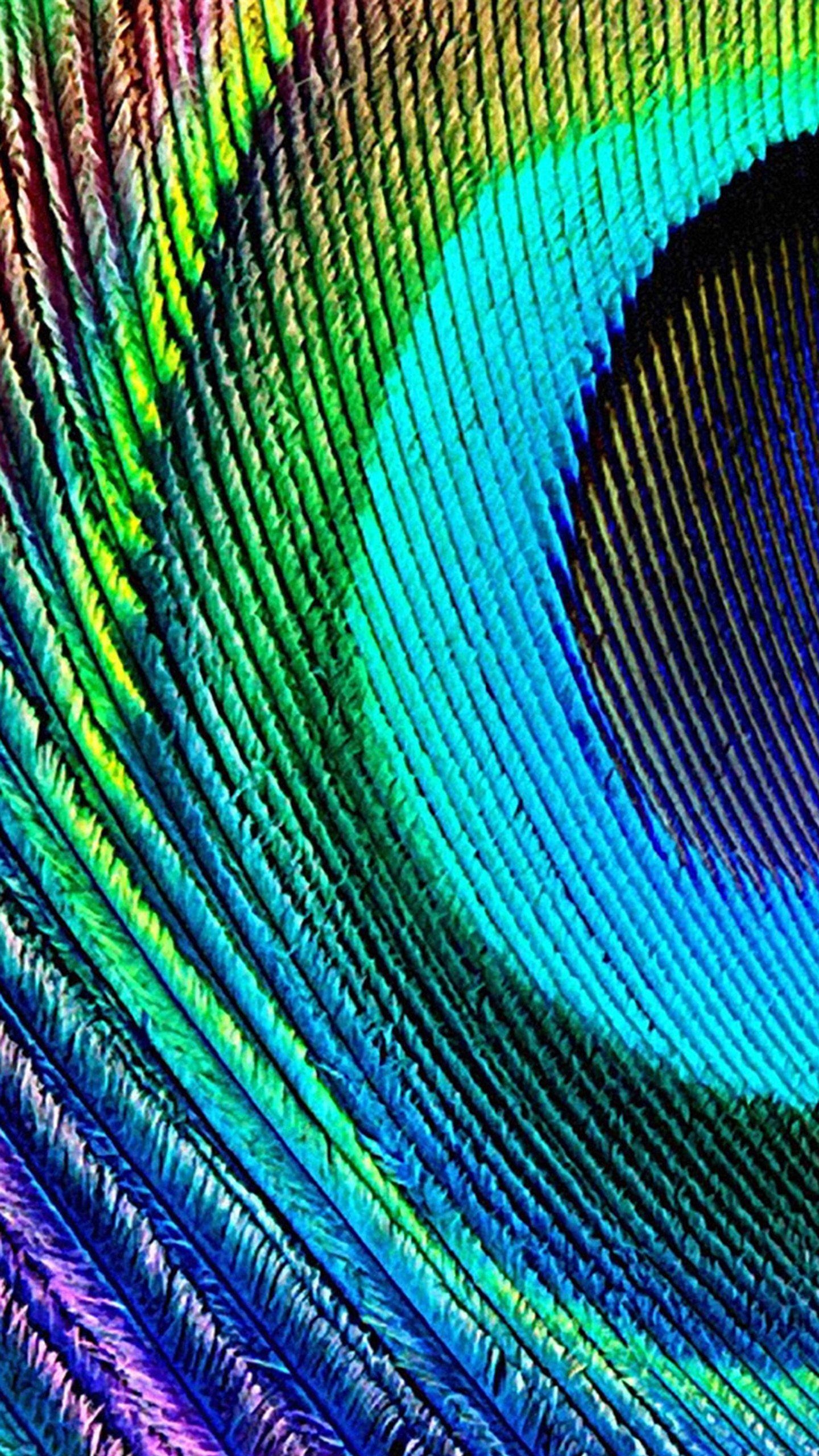 1440x2560 Samsung Galaxy Note 4 Wallpaper HD, Phone