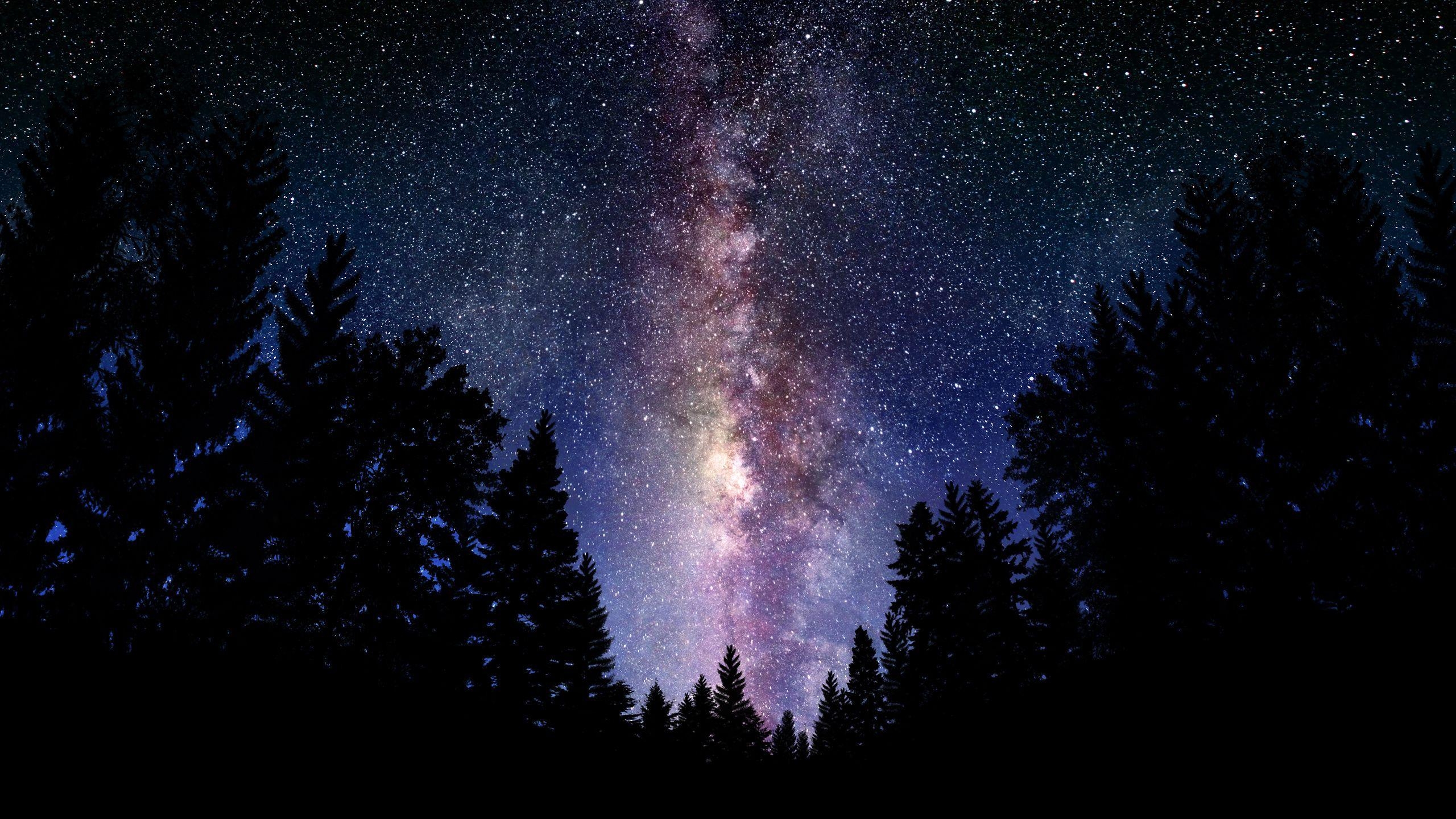 2560x1440 Milky Way, forest, sky, stars, trees, silhouette, night, Desktop