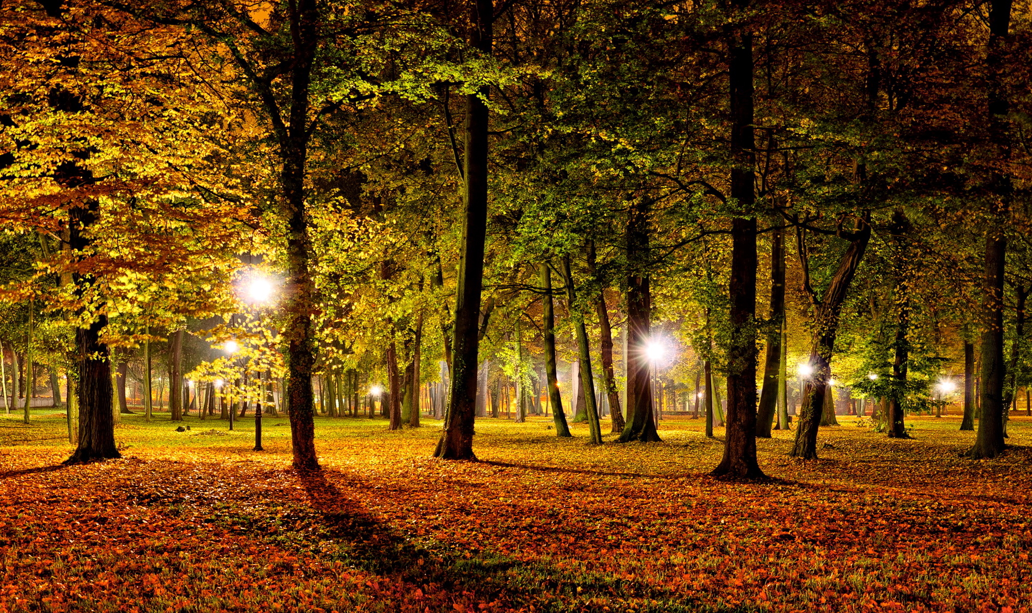 2020x1200 Wallpaper,  px, autumn, dark, fall, landscapes, leaves, lights, nature, night, park, seasons, trees, Desktop