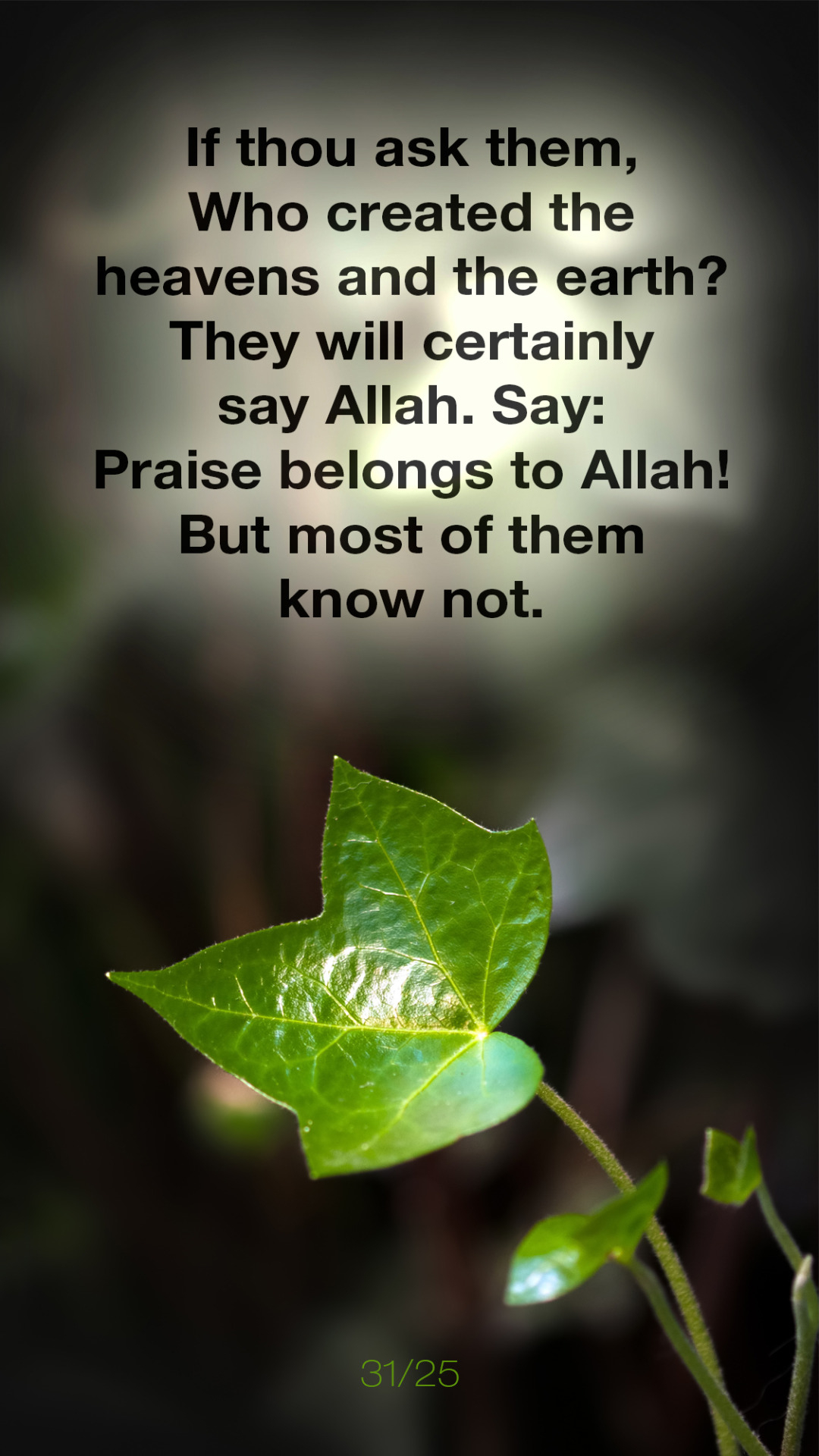 1080x1920 Quran Verses HD Wallpaper, Phone