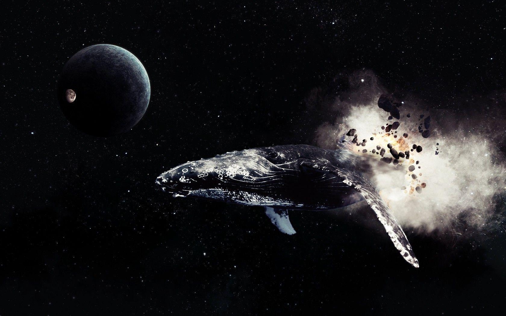 1680x1050 space stars planet moon whale comet Wallpaper HD / Desktop, Desktop