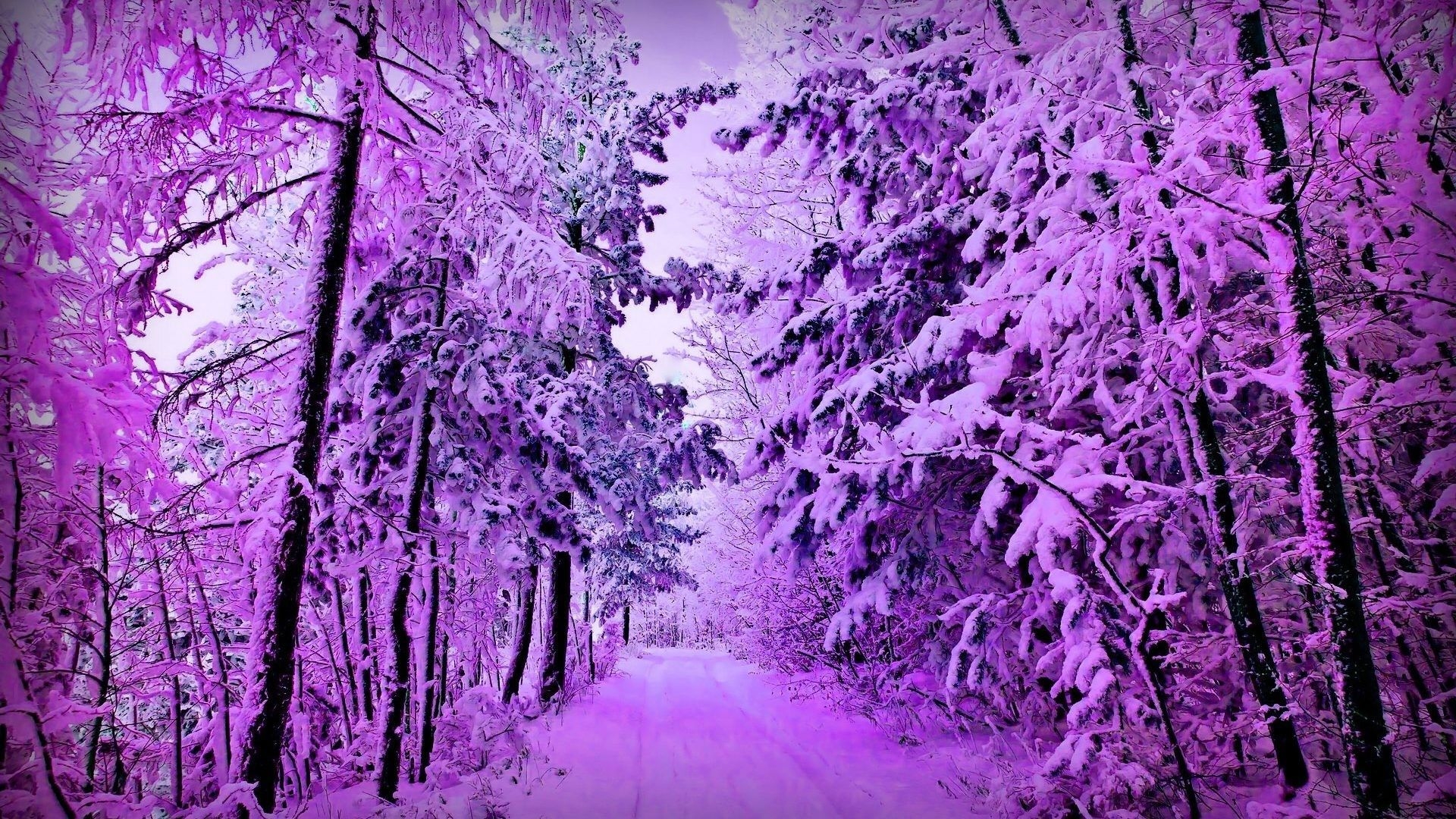 1920x1080 Purple Wallpaper Winter, Desktop