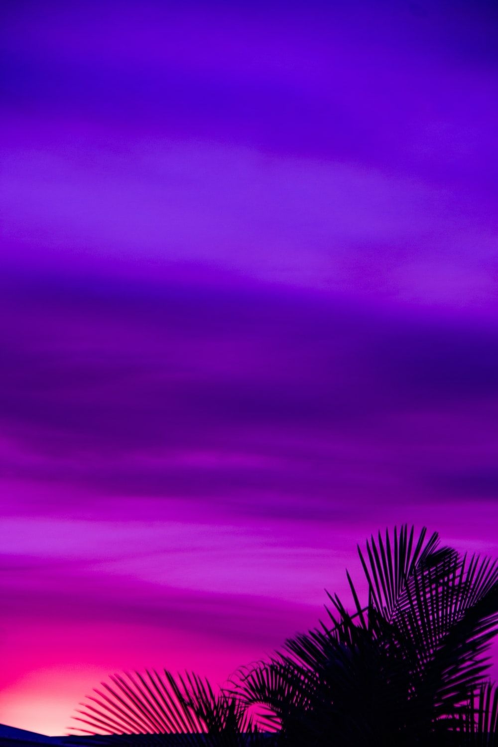 1000x1500 Purple Wallpaper: Free HD Download [HQ], Phone