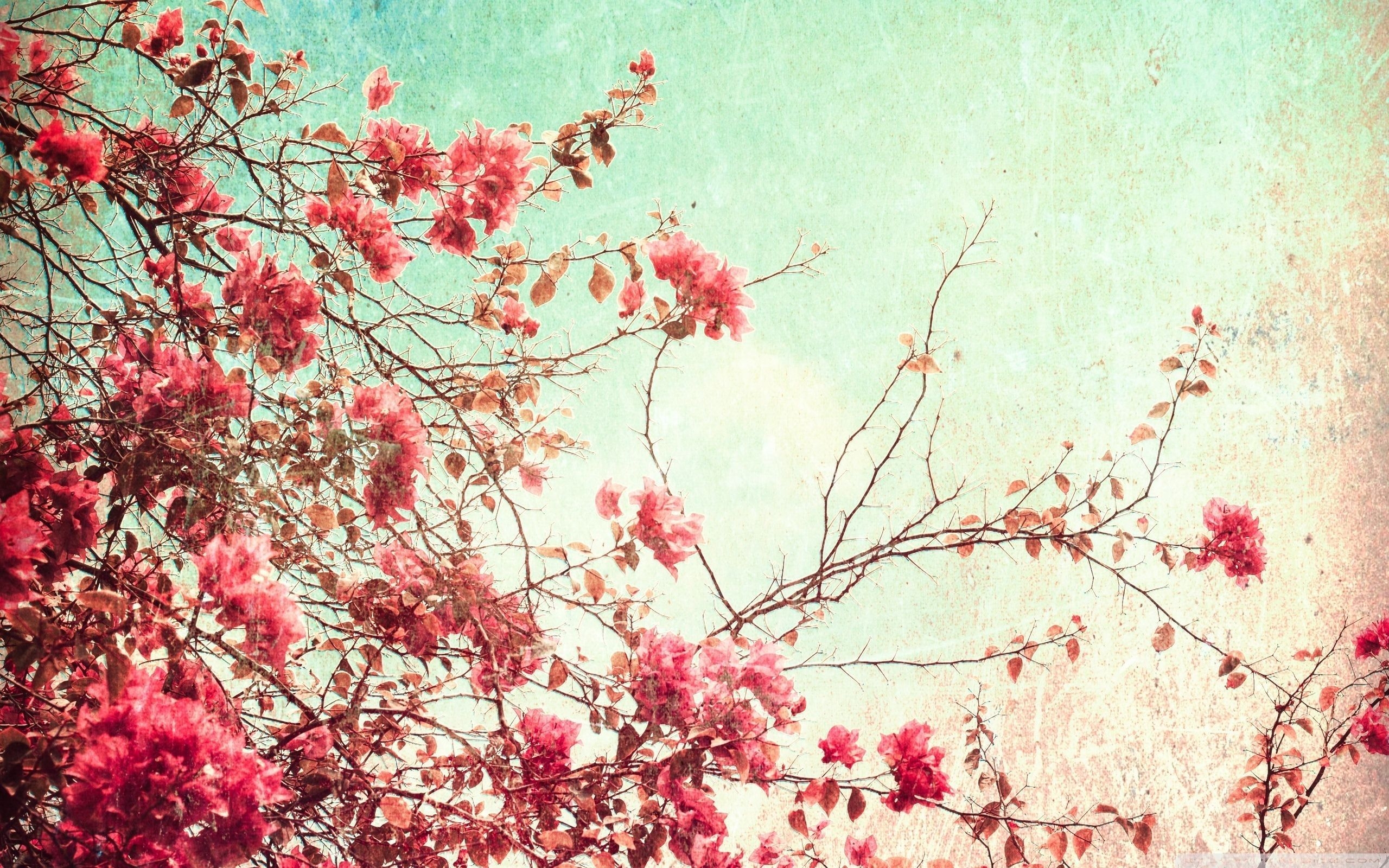 2560x1600 Latest Vintage Spring Desktop Background FULL HD 1080p For PC, Desktop